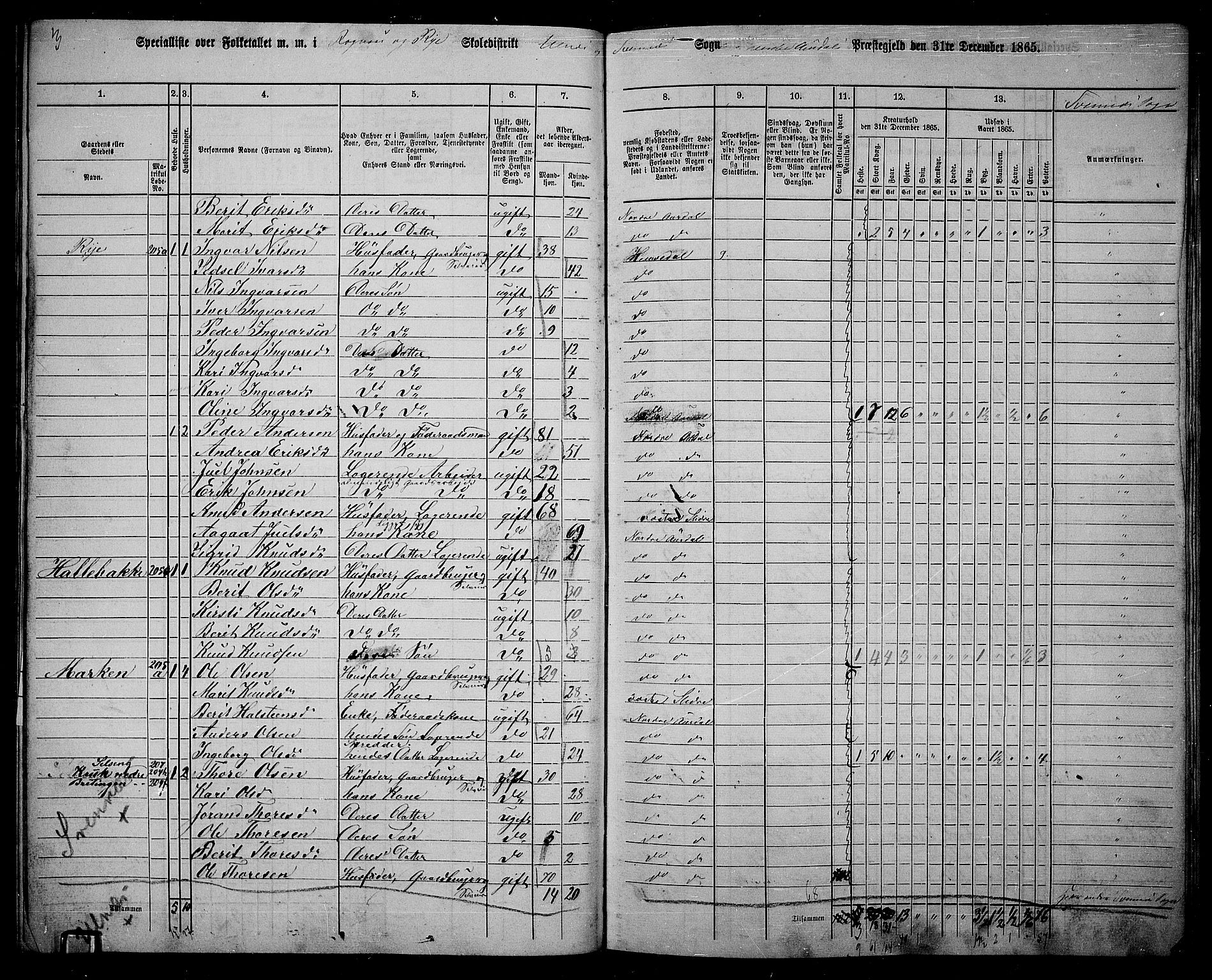 RA, 1865 census for Nord-Aurdal, 1865, p. 134