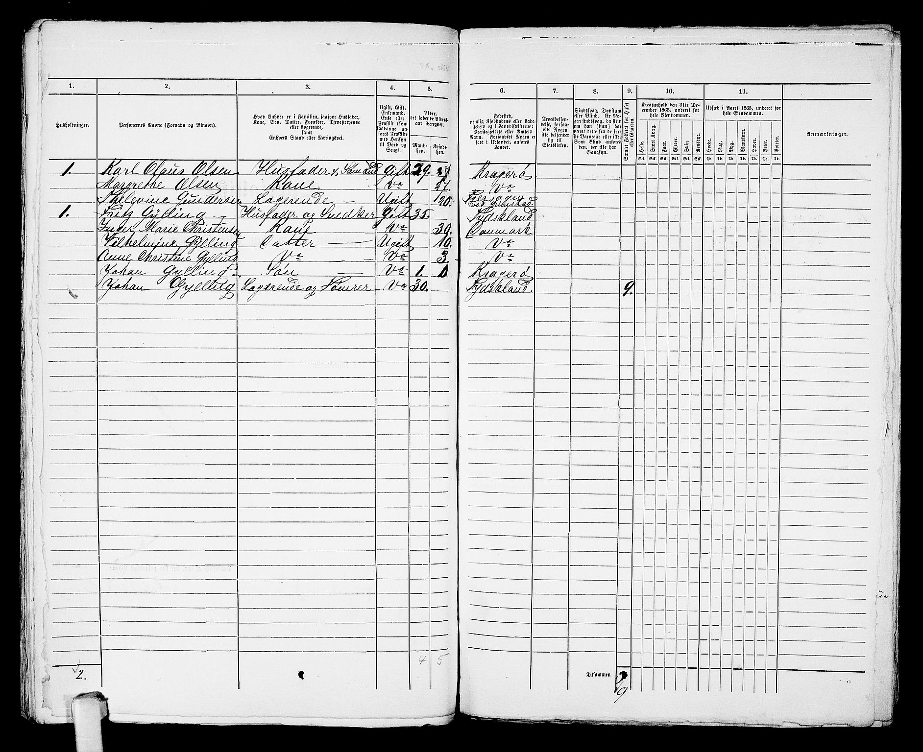 RA, 1865 census for Kragerø/Kragerø, 1865, p. 1019