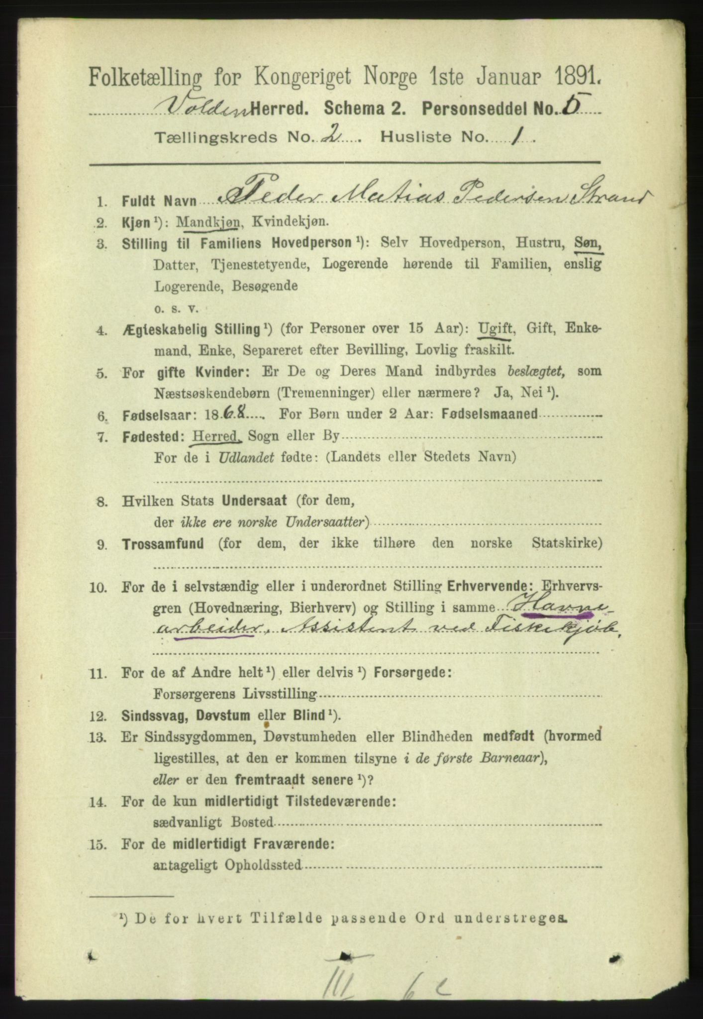 RA, 1891 census for 1519 Volda, 1891, p. 743