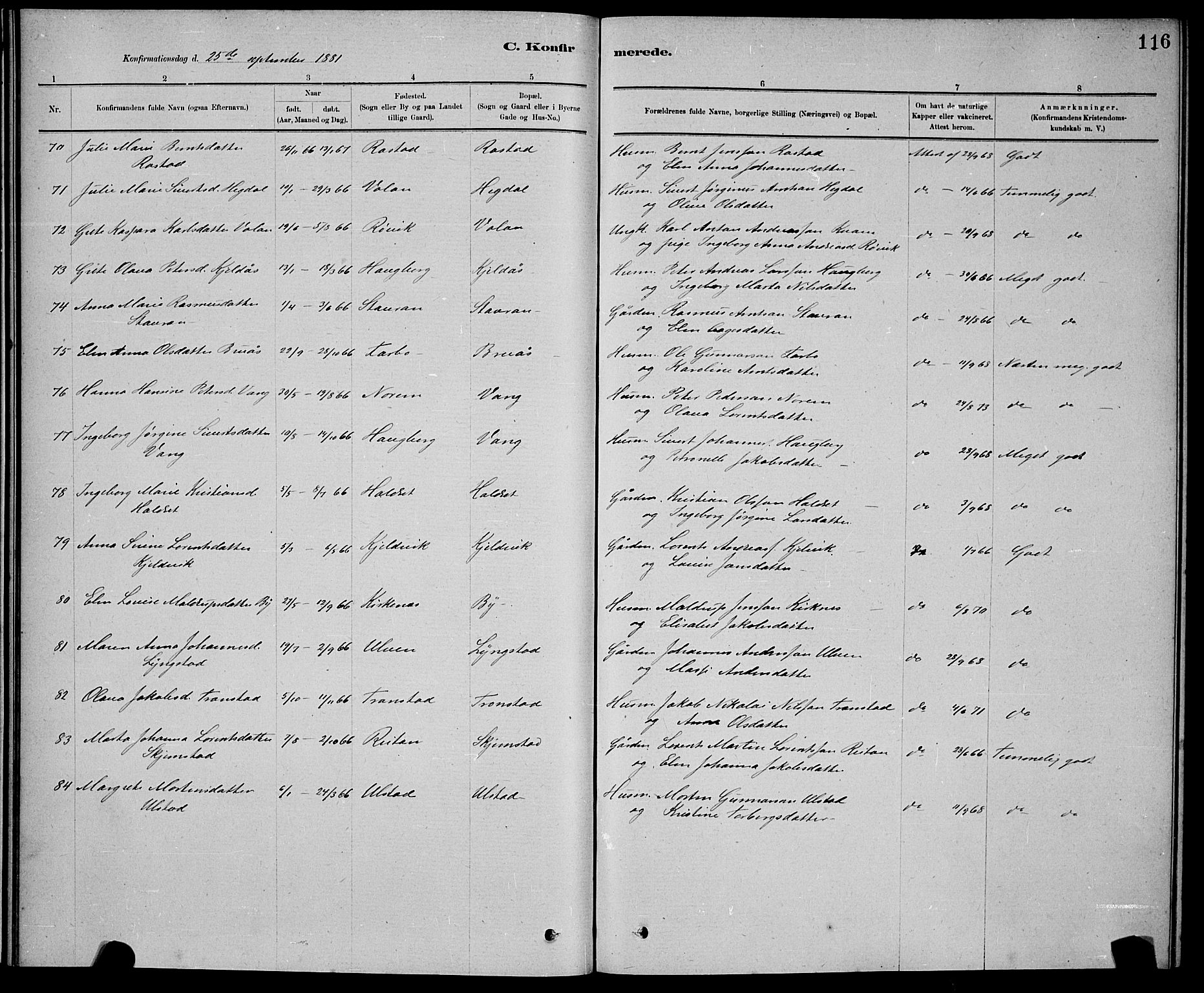 Ministerialprotokoller, klokkerbøker og fødselsregistre - Nord-Trøndelag, AV/SAT-A-1458/730/L0301: Parish register (copy) no. 730C04, 1880-1897, p. 116