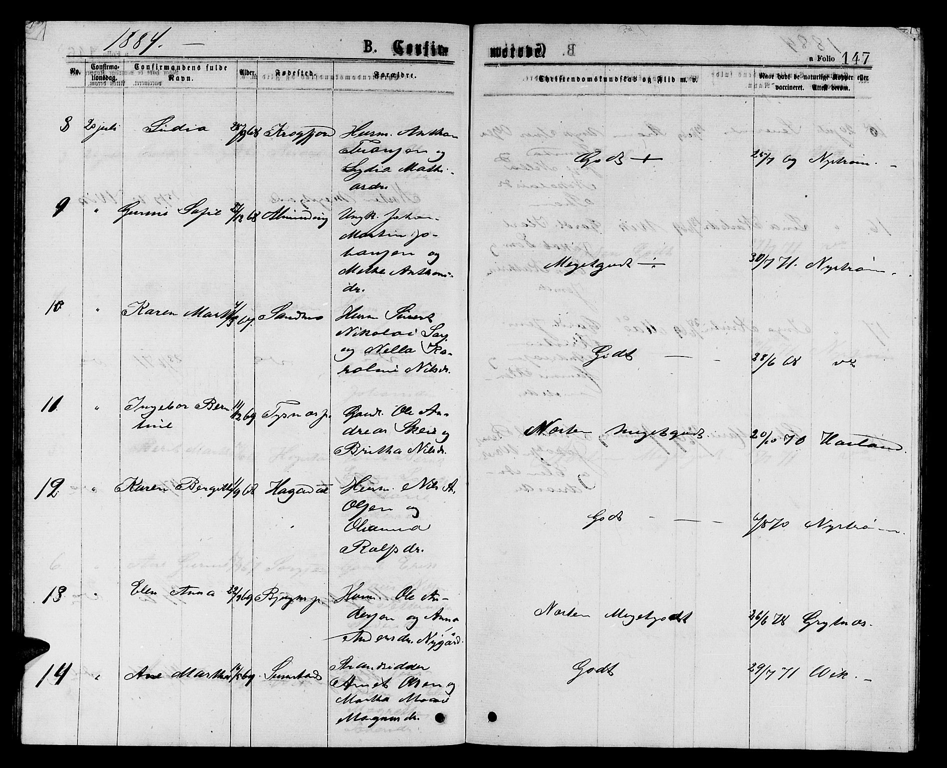 Ministerialprotokoller, klokkerbøker og fødselsregistre - Sør-Trøndelag, AV/SAT-A-1456/657/L0715: Parish register (copy) no. 657C02, 1873-1888, p. 147