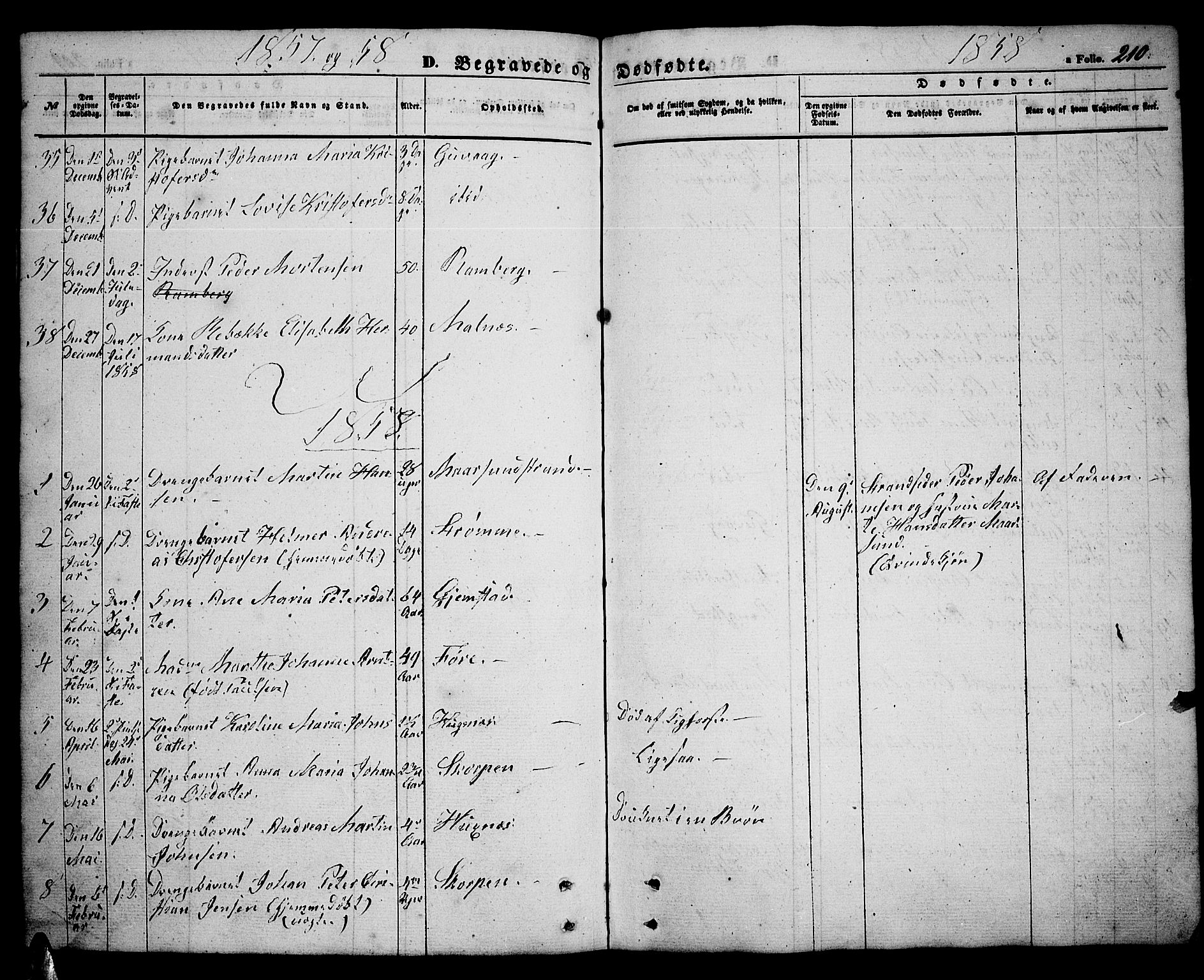 Ministerialprotokoller, klokkerbøker og fødselsregistre - Nordland, AV/SAT-A-1459/891/L1313: Parish register (copy) no. 891C02, 1856-1870, p. 210