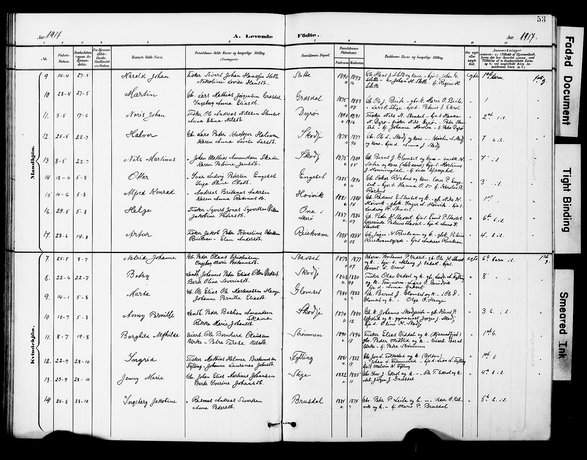 Ministerialprotokoller, klokkerbøker og fødselsregistre - Møre og Romsdal, AV/SAT-A-1454/524/L0366: Parish register (copy) no. 524C07, 1900-1931, p. 53