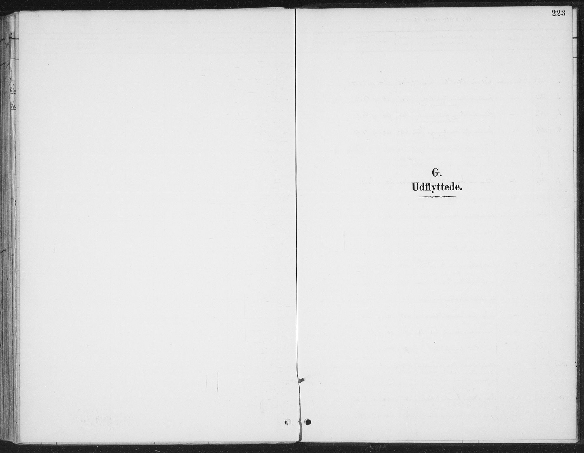 Romedal prestekontor, SAH/PREST-004/K/L0008: Parish register (official) no. 8, 1887-1905, p. 223