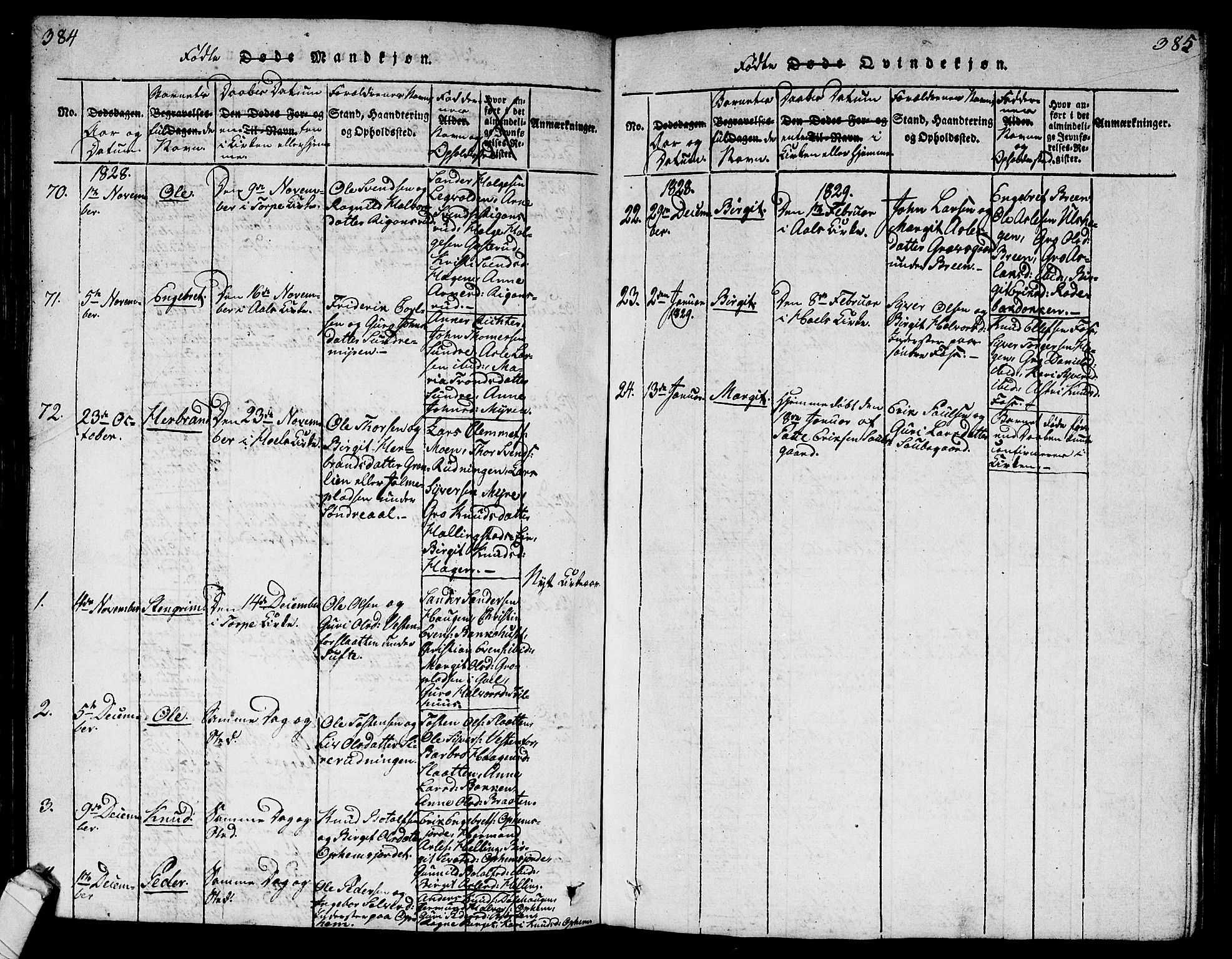 Ål kirkebøker, SAKO/A-249/G/Ga/L0001: Parish register (copy) no. 1, 1815-1829, p. 384-385