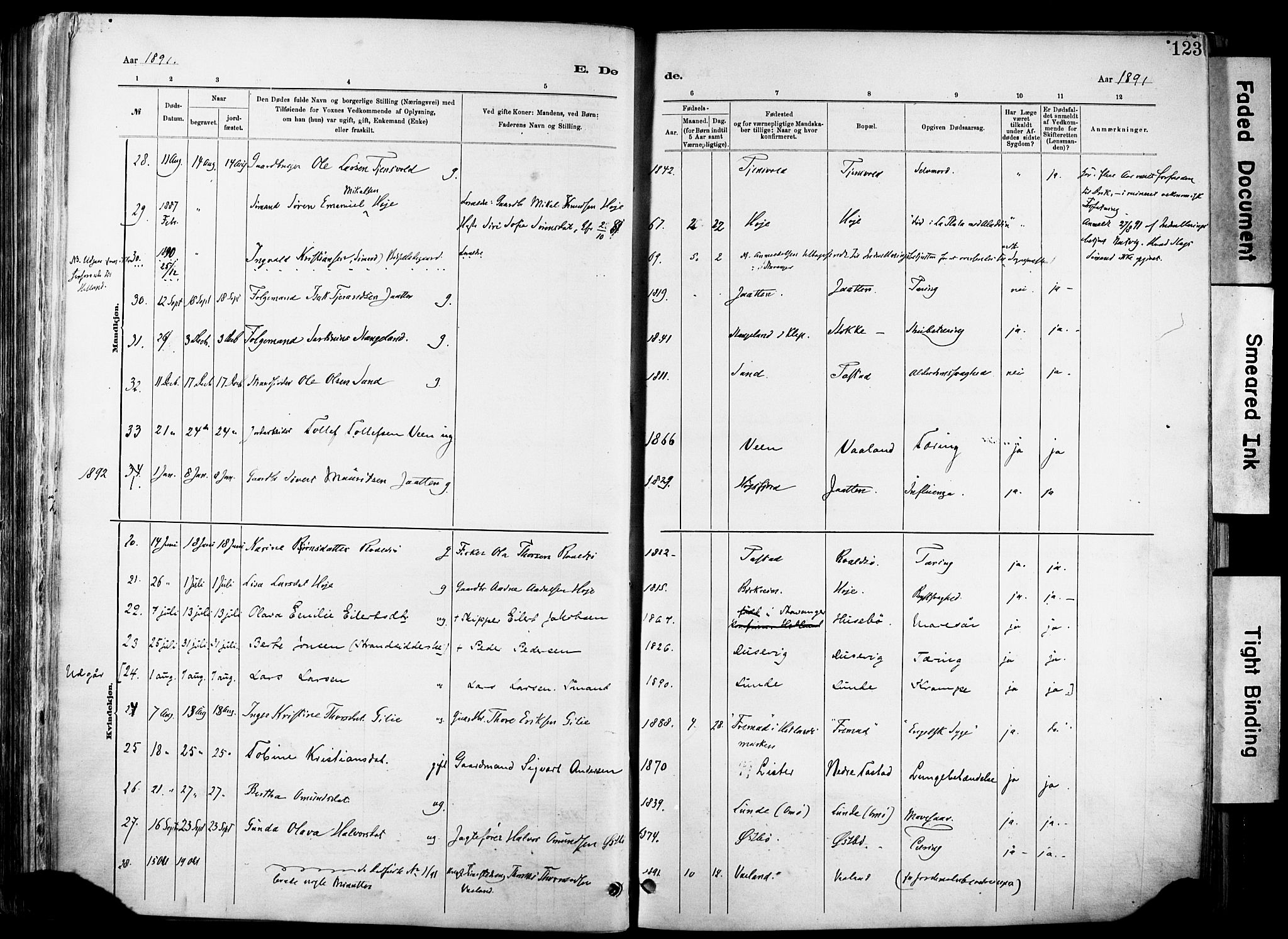 Hetland sokneprestkontor, SAST/A-101826/30/30BA/L0012: Parish register (official) no. A 12, 1882-1912, p. 123