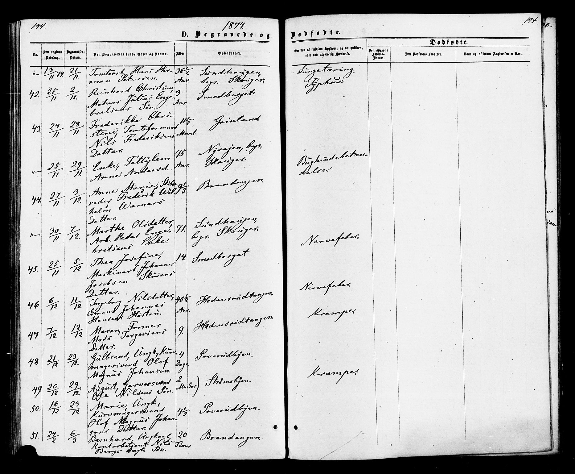 Strømsø kirkebøker, AV/SAKO-A-246/F/Fa/L0020: Parish register (official) no. I 20, 1870-1878, p. 194