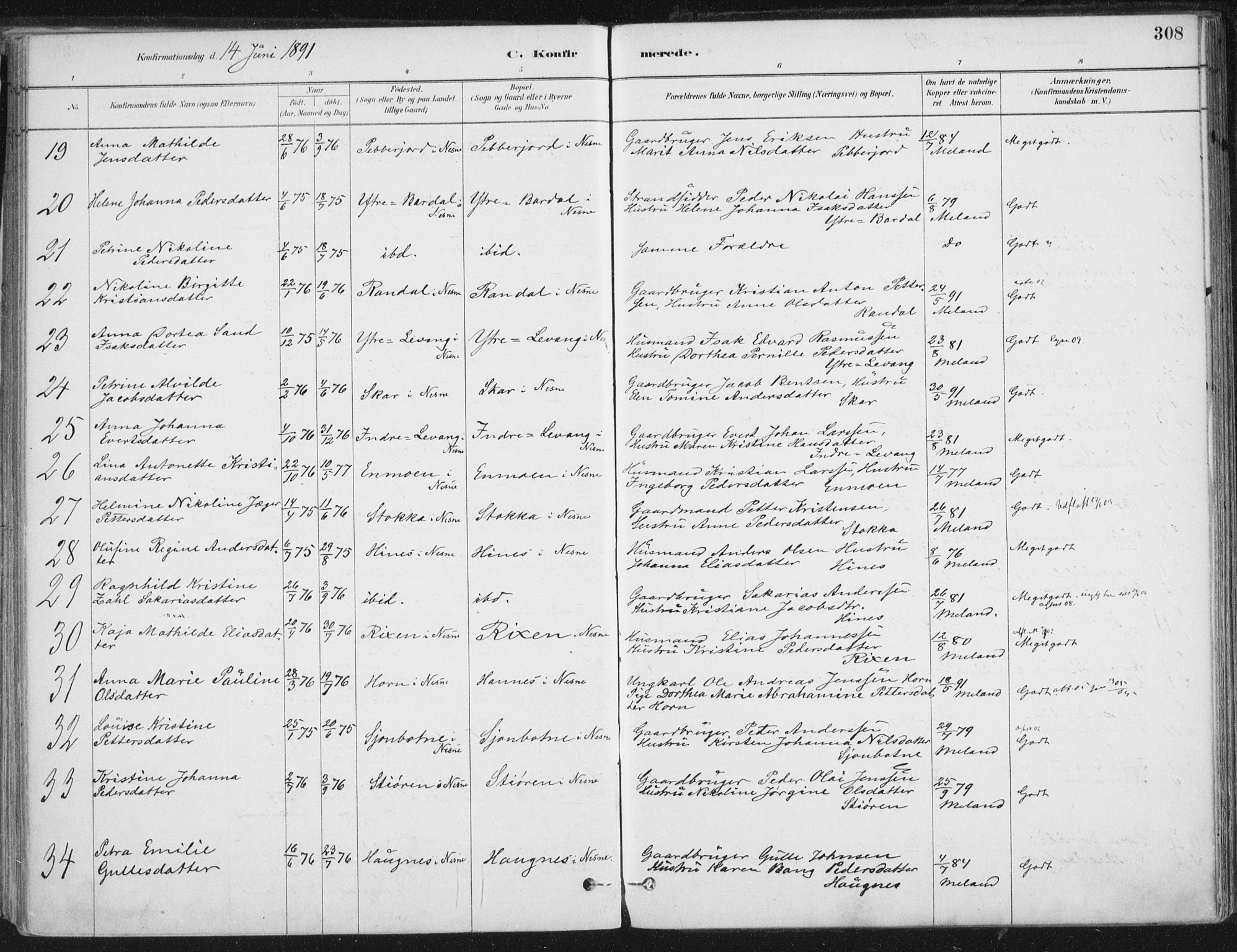 Ministerialprotokoller, klokkerbøker og fødselsregistre - Nordland, AV/SAT-A-1459/838/L0552: Parish register (official) no. 838A10, 1880-1910, p. 308