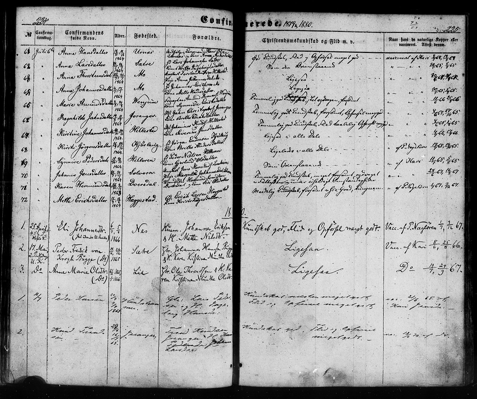 Hafslo sokneprestembete, SAB/A-80301/H/Haa/Haaa/L0012: Parish register (official) no. A 12, 1852-1885, p. 224-225