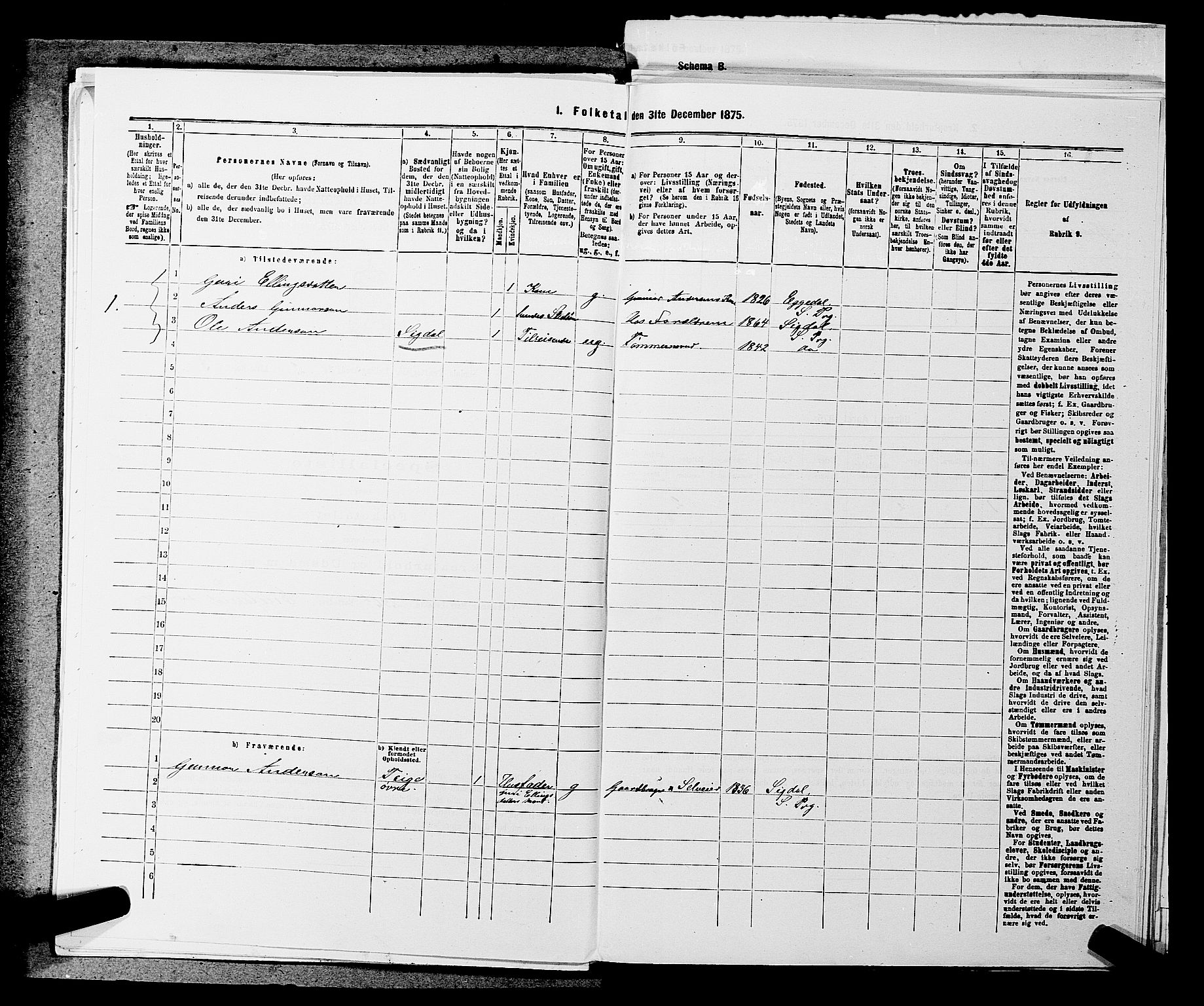 SAKO, 1875 census for 0621P Sigdal, 1875, p. 2031