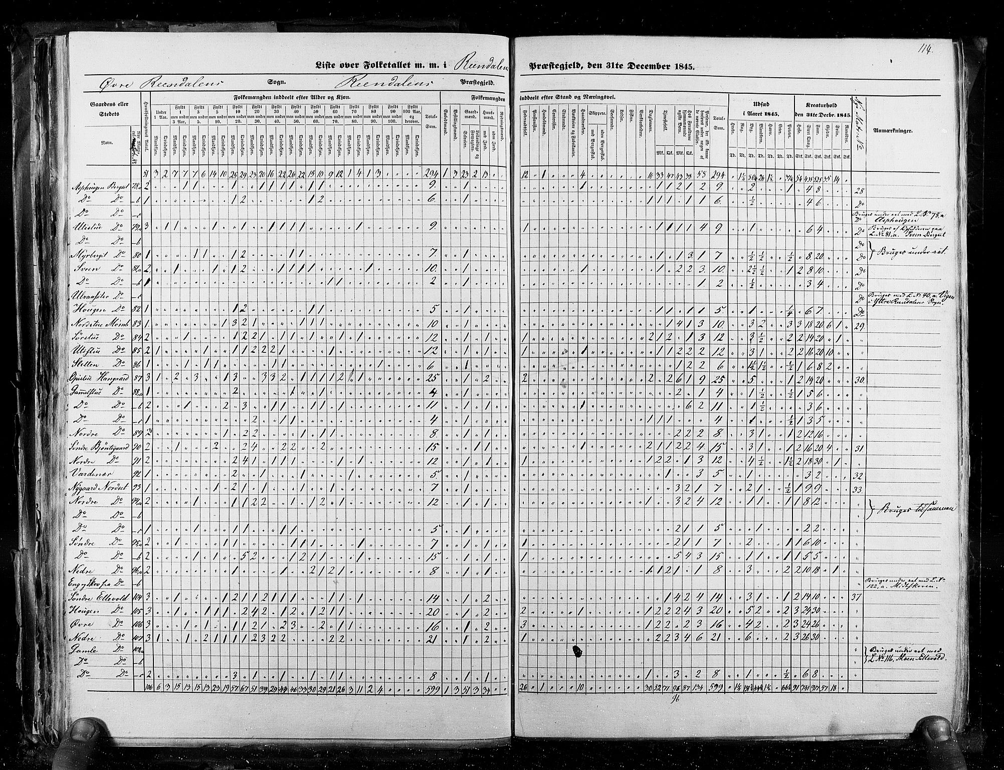 RA, Census 1845, vol. 3: Hedemarken amt og Kristians amt, 1845, p. 114