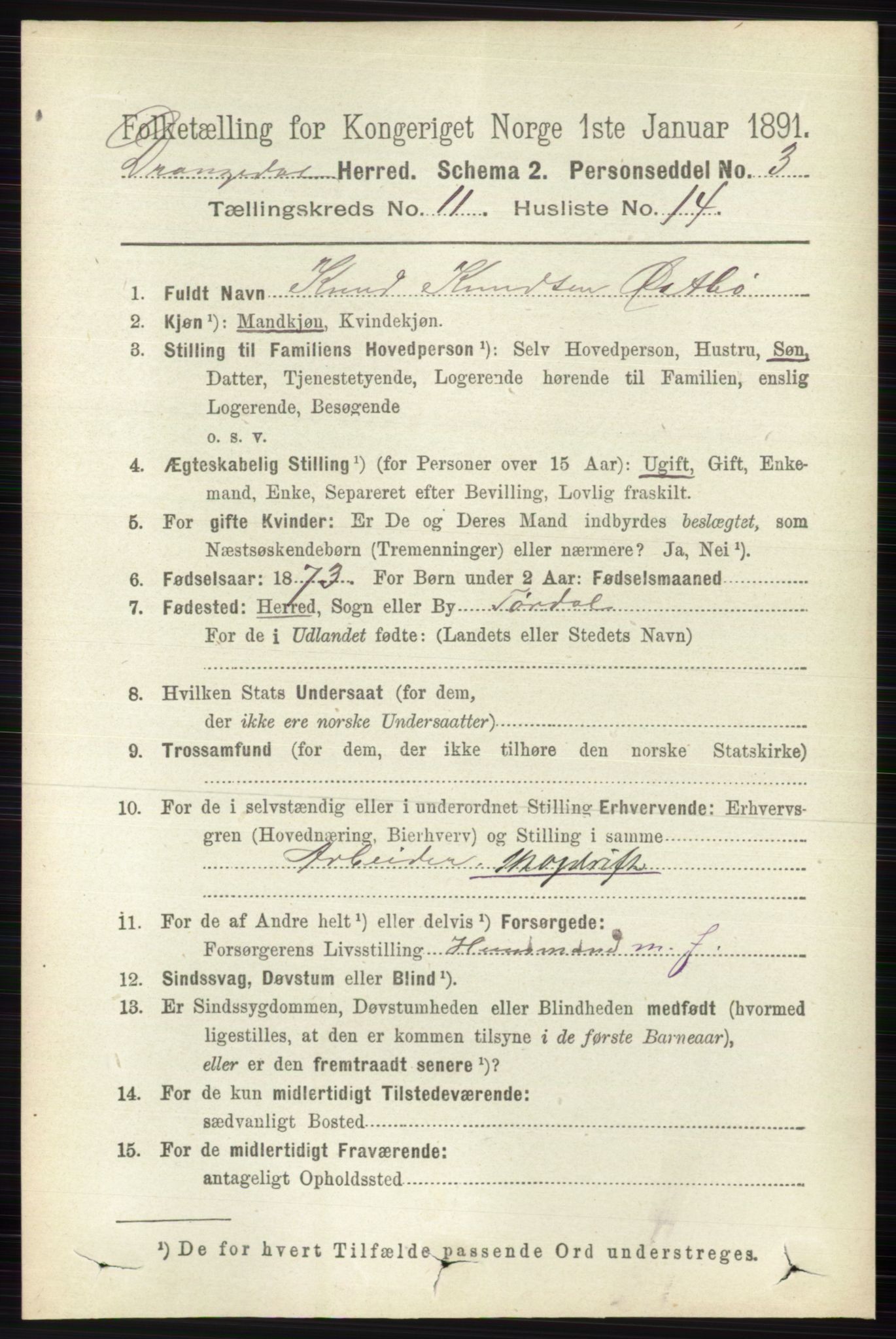 RA, 1891 census for 0817 Drangedal, 1891, p. 3985