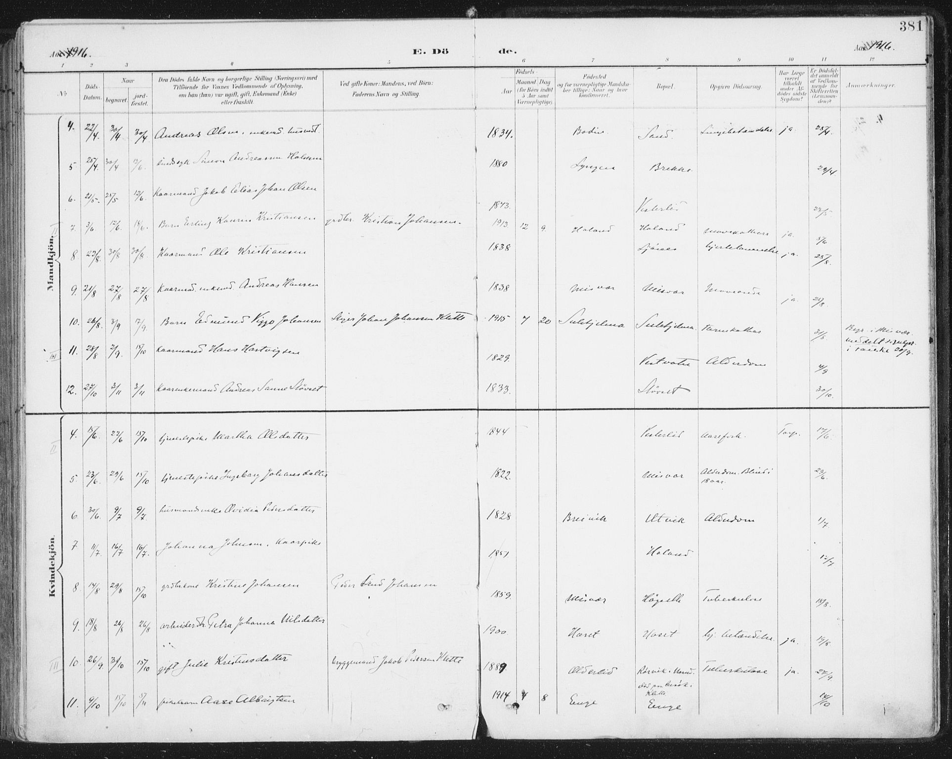 Ministerialprotokoller, klokkerbøker og fødselsregistre - Nordland, SAT/A-1459/852/L0741: Parish register (official) no. 852A11, 1894-1917, p. 381