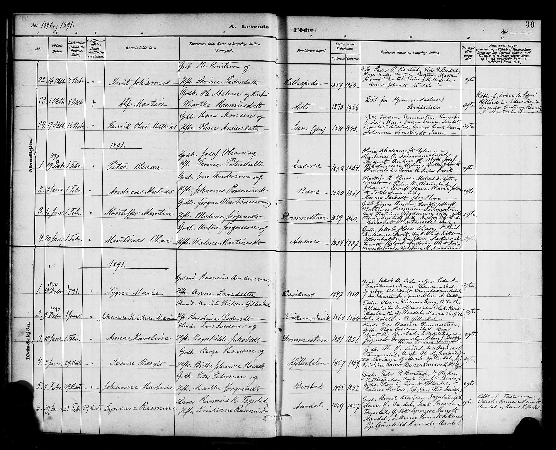 Davik sokneprestembete, AV/SAB-A-79701/H/Haa/Haab/L0001: Parish register (official) no. B 1, 1882-1900, p. 30