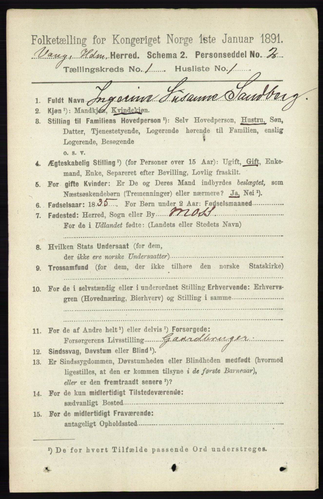 RA, 1891 census for 0414 Vang, 1891, p. 173