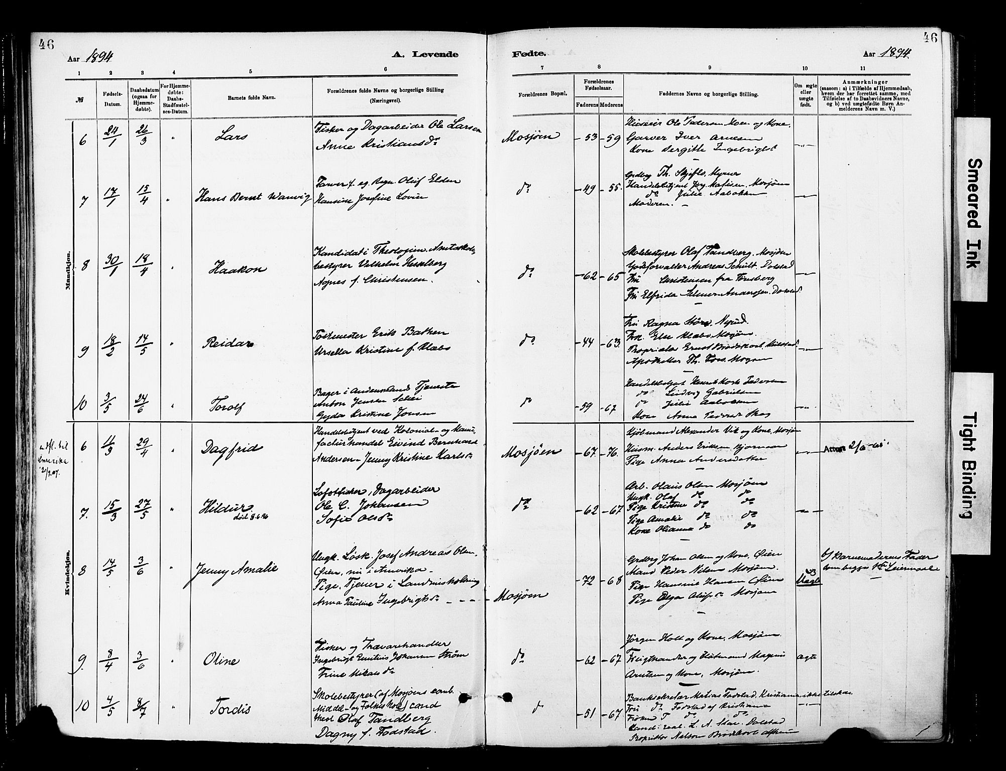 Ministerialprotokoller, klokkerbøker og fødselsregistre - Nordland, SAT/A-1459/820/L0296: Parish register (official) no. 820A17, 1880-1903, p. 46
