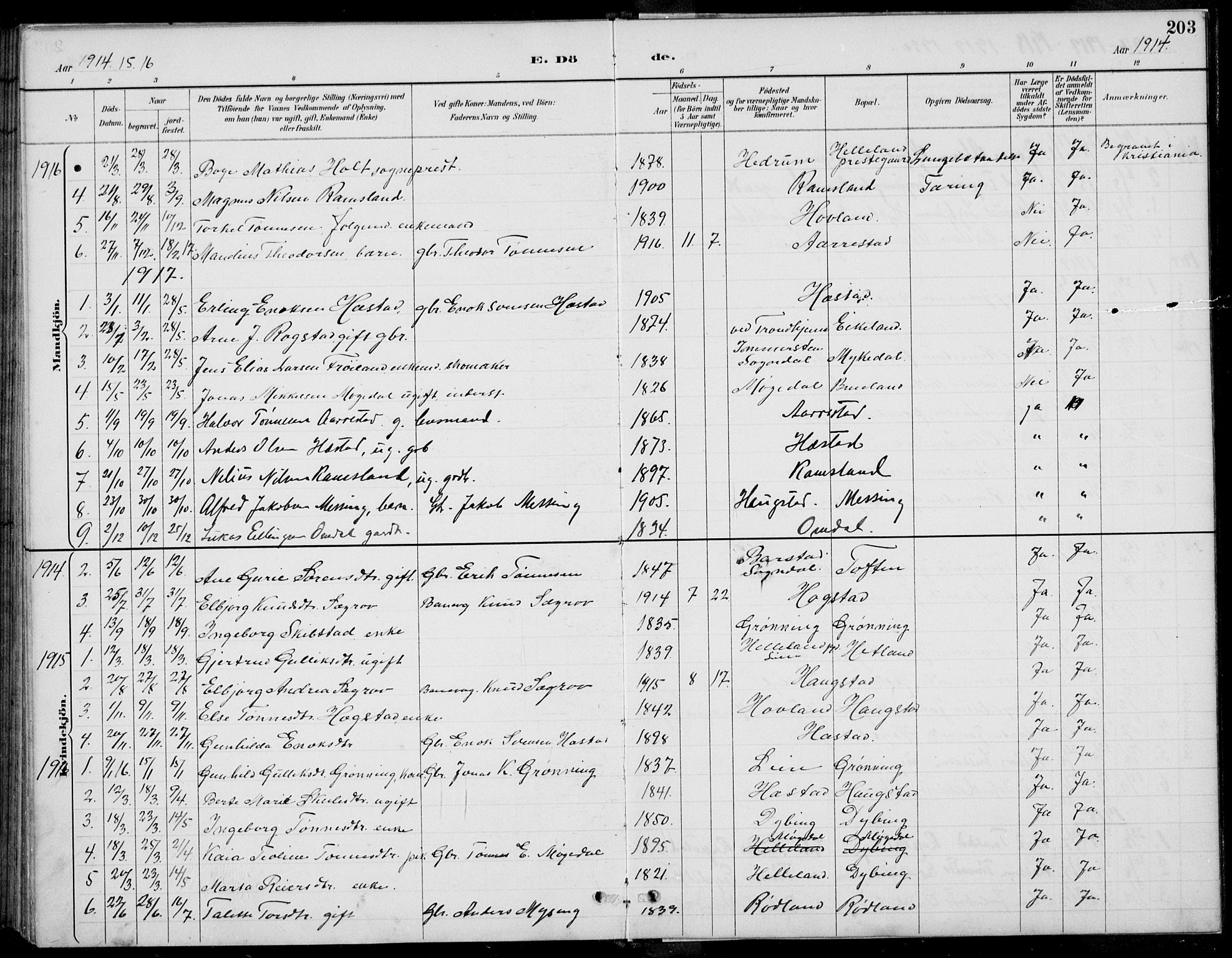 Helleland sokneprestkontor, SAST/A-101810: Parish register (copy) no. B 4, 1887-1941, p. 203