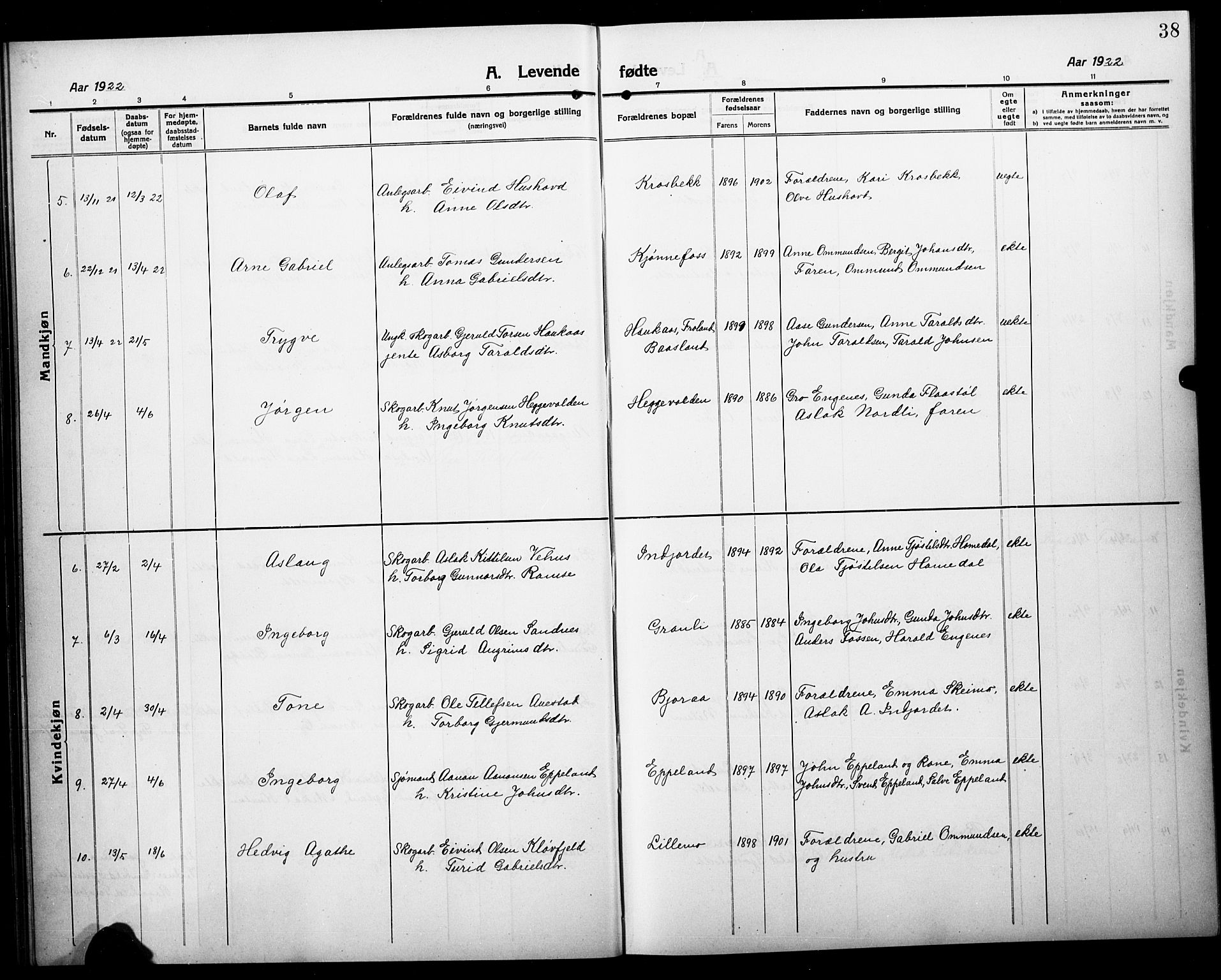 Åmli sokneprestkontor, AV/SAK-1111-0050/F/Fb/Fbc/L0006: Parish register (copy) no. B 6, 1915-1929, p. 38