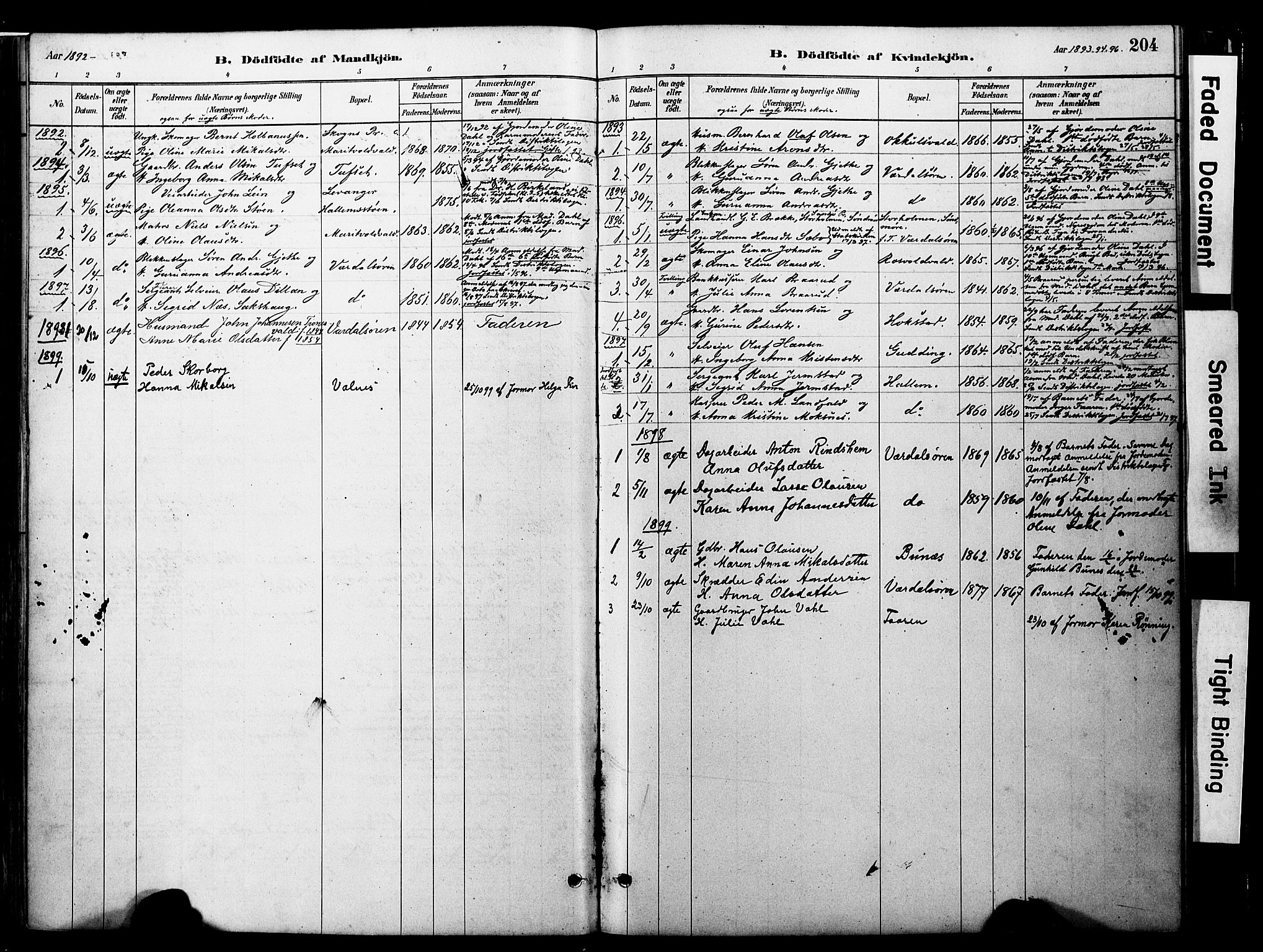 Ministerialprotokoller, klokkerbøker og fødselsregistre - Nord-Trøndelag, AV/SAT-A-1458/723/L0244: Parish register (official) no. 723A13, 1881-1899, p. 204