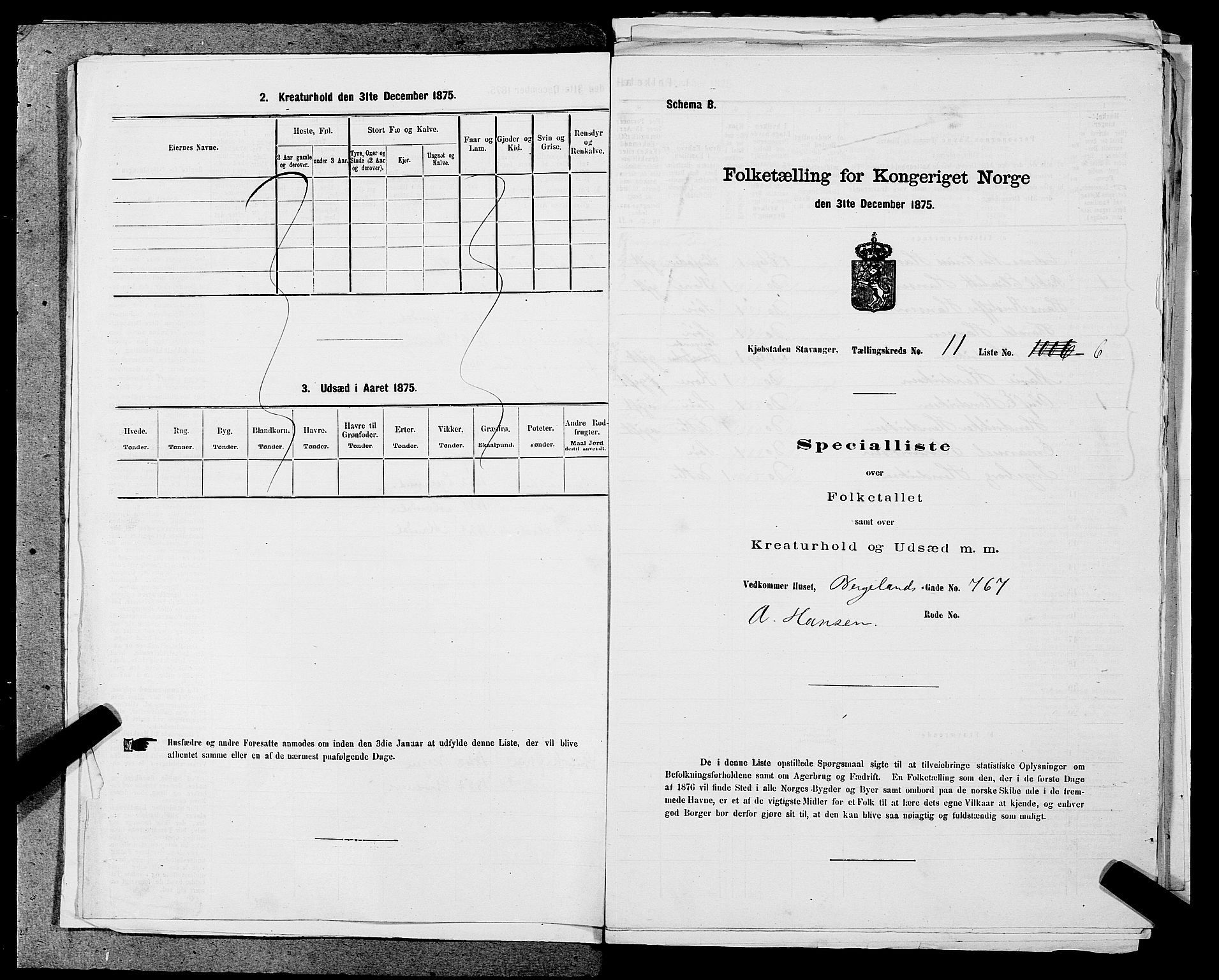 SAST, 1875 census for 1103 Stavanger, 1875, p. 2054