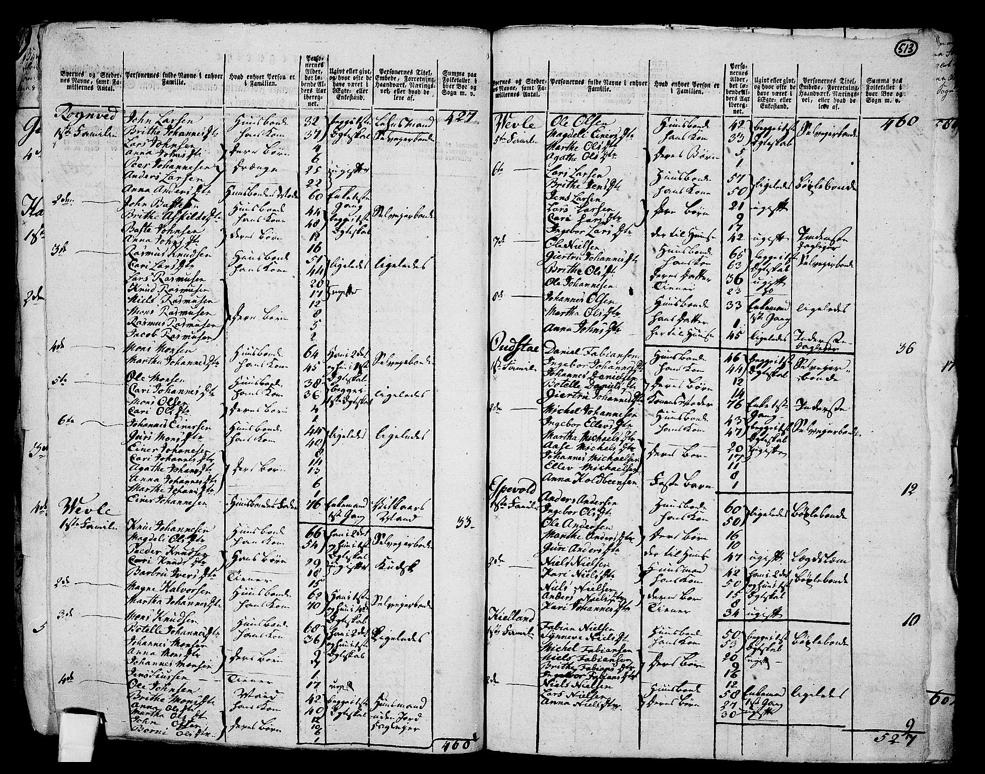 RA, 1801 census for 1250P Haus, 1801, p. 512b-513a