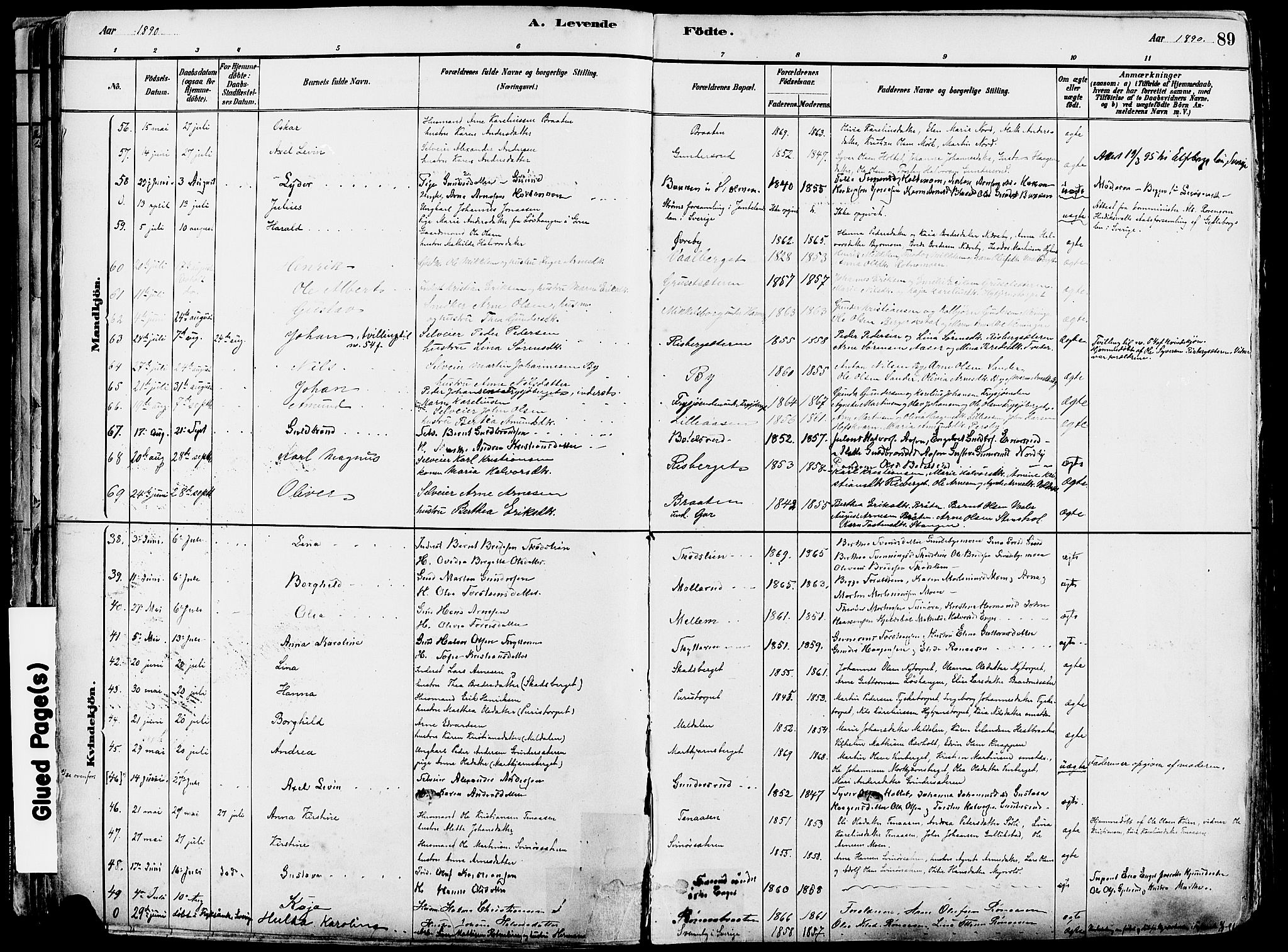 Grue prestekontor, SAH/PREST-036/H/Ha/Haa/L0012: Parish register (official) no. 12, 1881-1897, p. 89