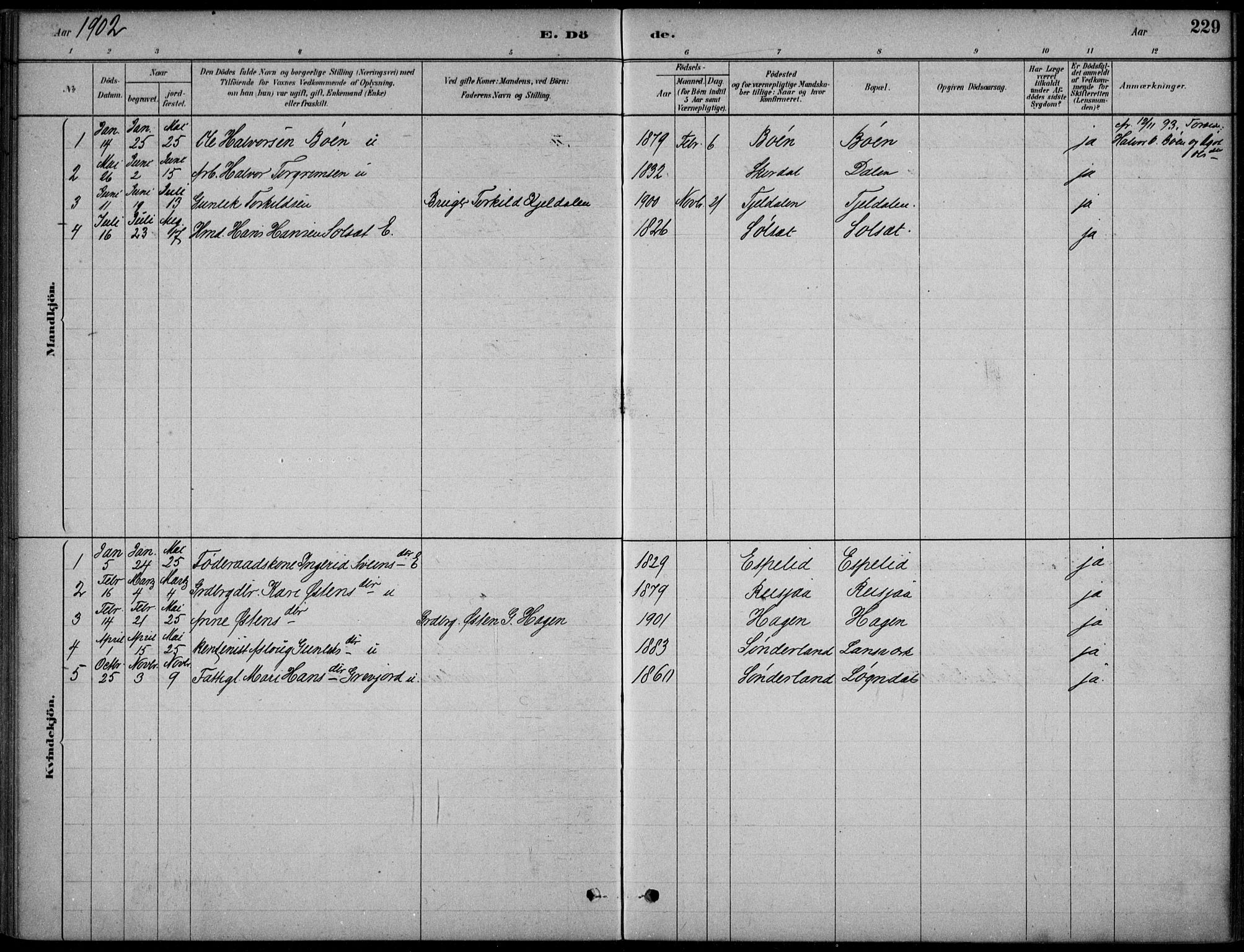 Hjartdal kirkebøker, SAKO/A-270/F/Fc/L0002: Parish register (official) no. III 2, 1880-1936, p. 229