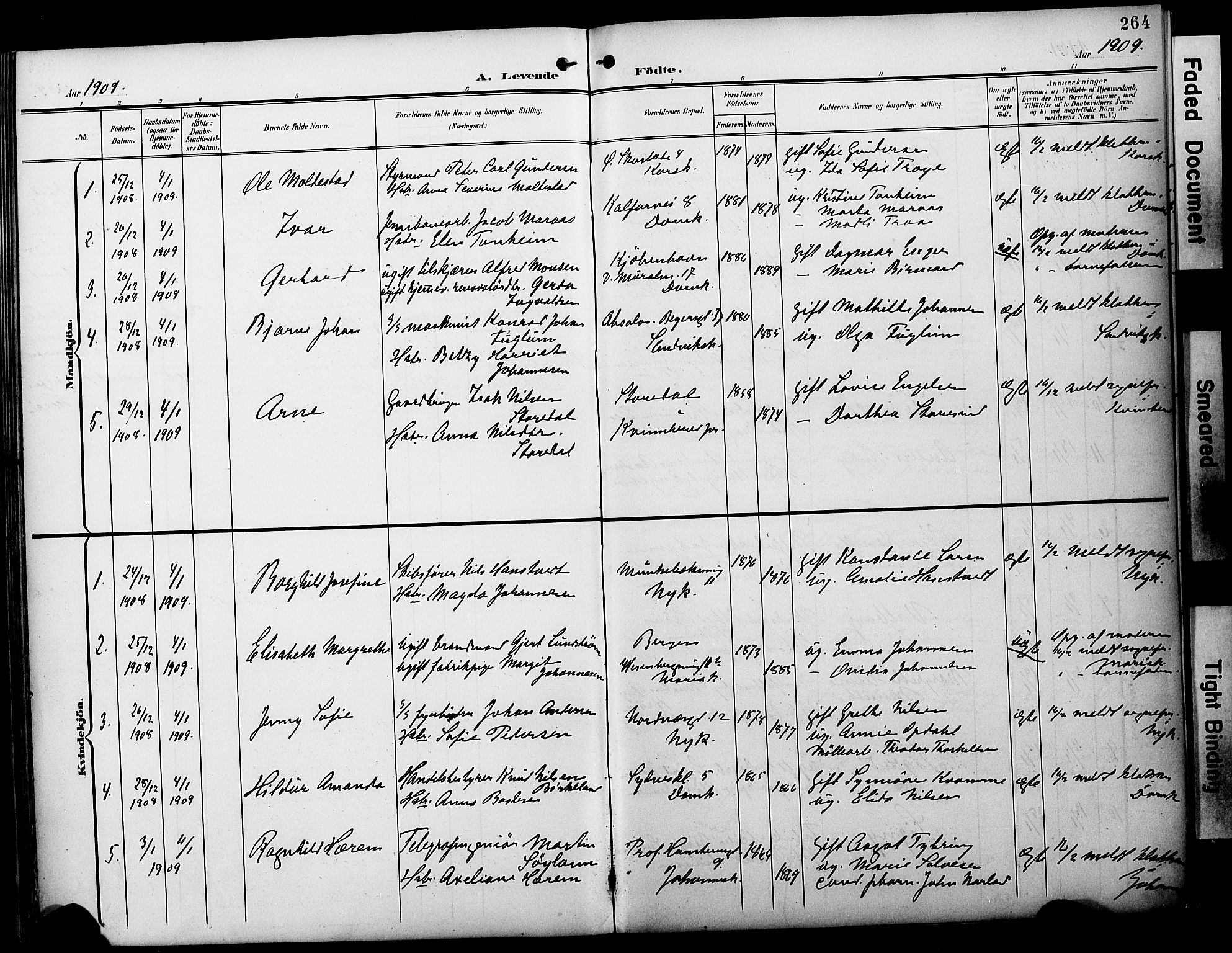 Fødselsstiftelsens sokneprestembete*, SAB/-: Parish register (official) no. A 3, 1901-1910, p. 264