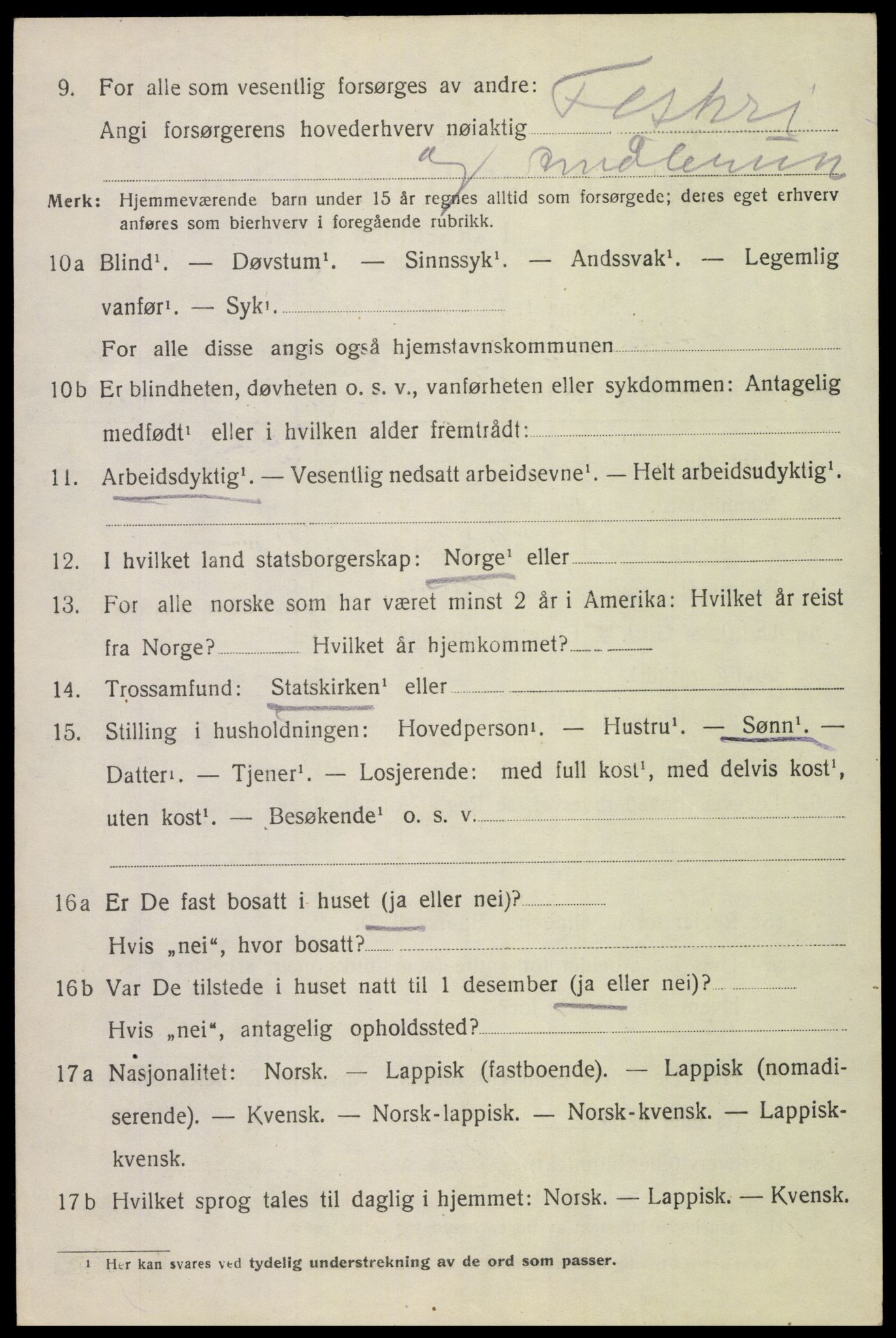 SAT, 1920 census for Bodin, 1920, p. 10121