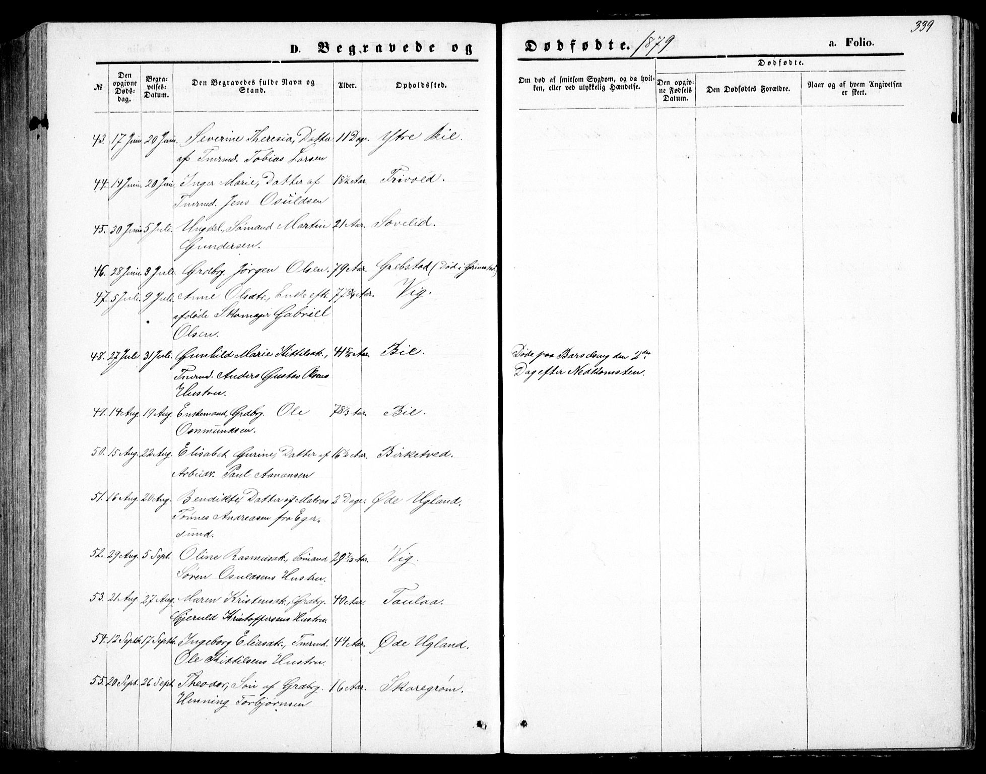 Fjære sokneprestkontor, AV/SAK-1111-0011/F/Fb/L0010: Parish register (copy) no. B 10, 1871-1880, p. 339