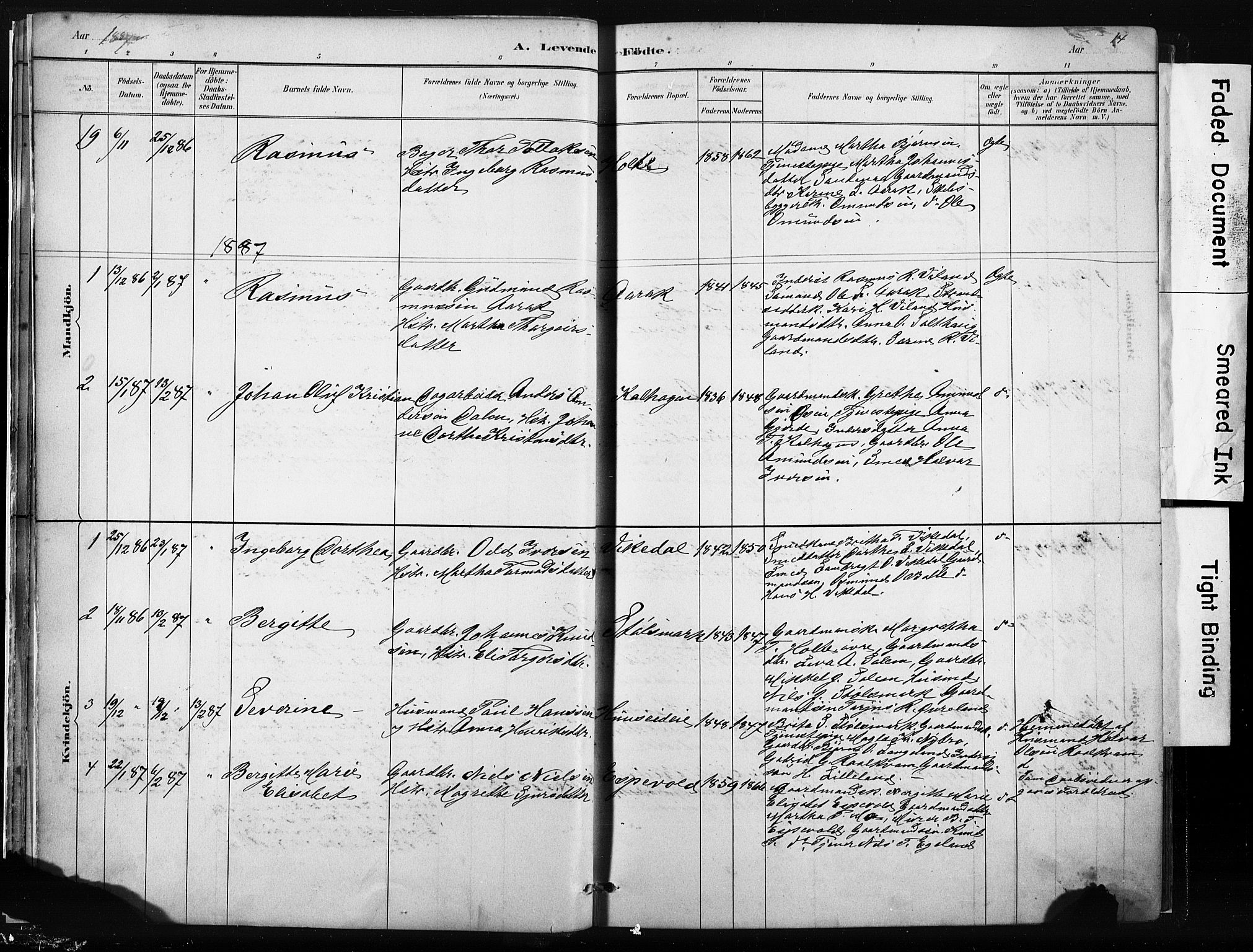 Vikedal sokneprestkontor, AV/SAST-A-101840/01/IV: Parish register (official) no. A 10, 1884-1907, p. 14