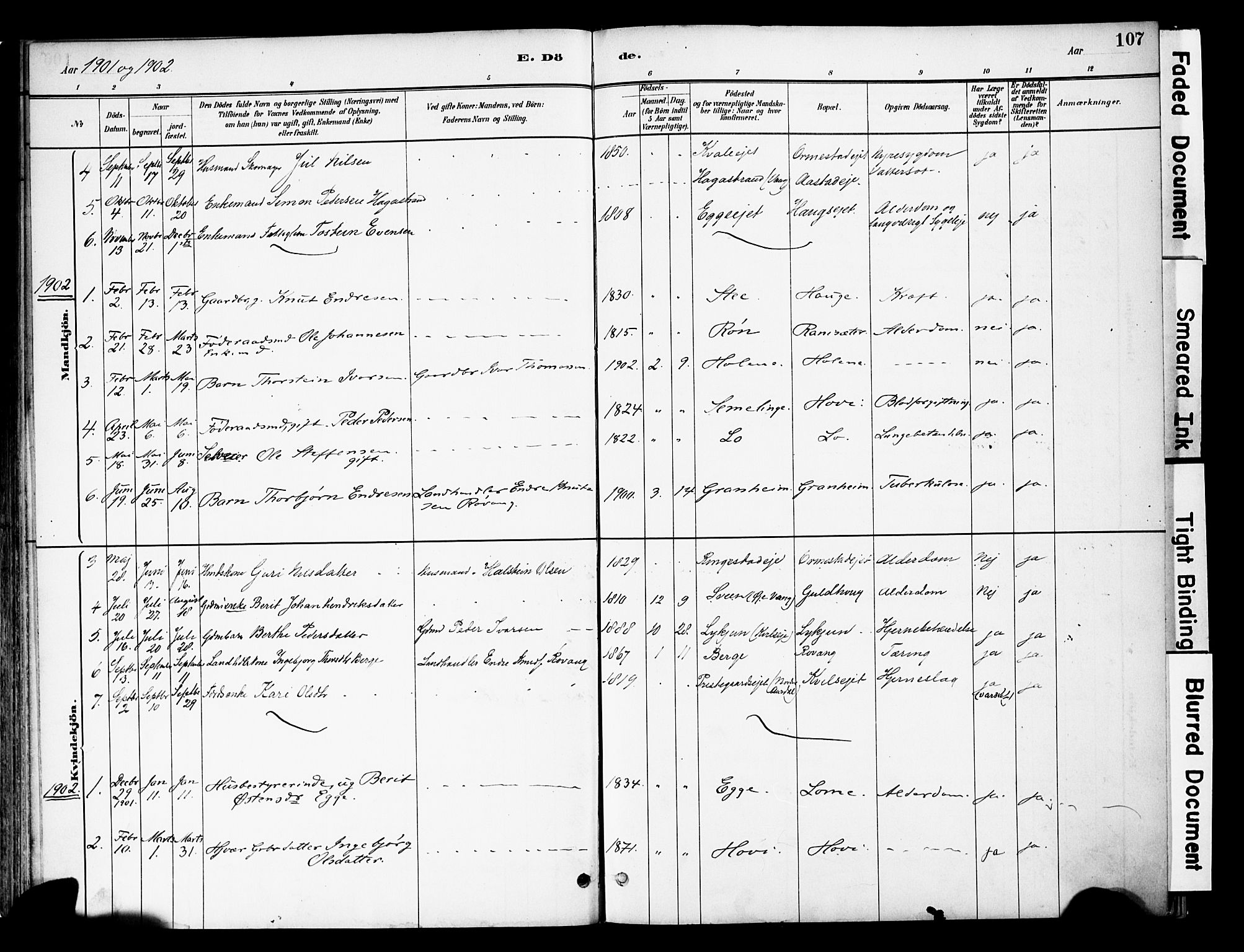 Vestre Slidre prestekontor, SAH/PREST-136/H/Ha/Haa/L0005: Parish register (official) no. 5, 1881-1912, p. 107
