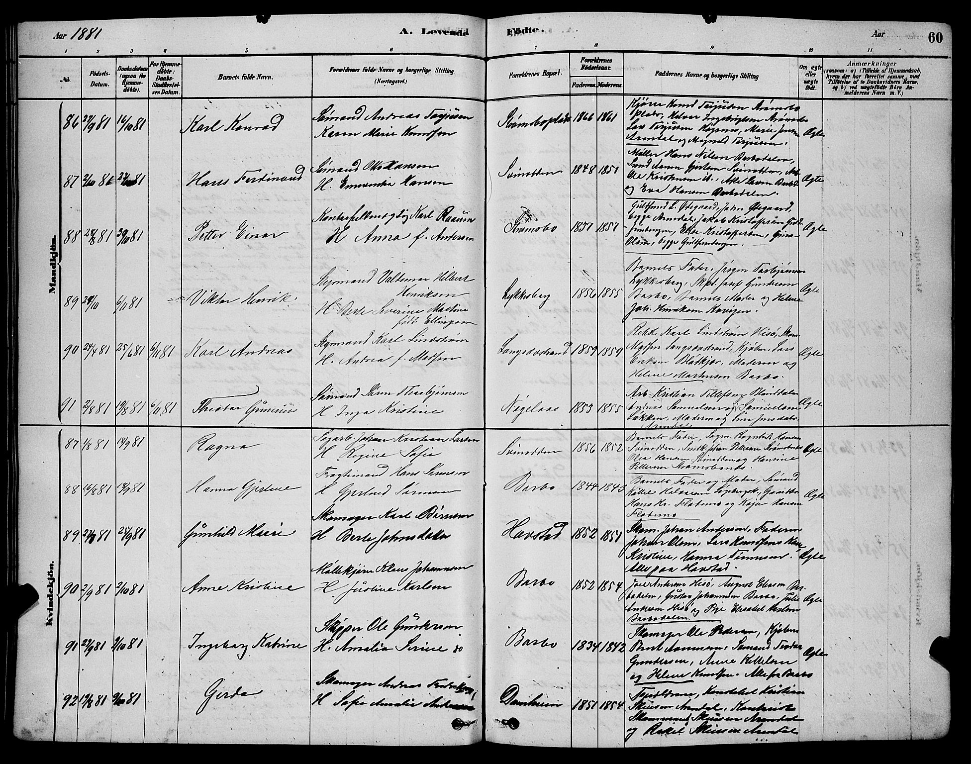 Barbu sokneprestkontor, AV/SAK-1111-0003/F/Fb/L0001: Parish register (copy) no. B 1, 1878-1890, p. 60