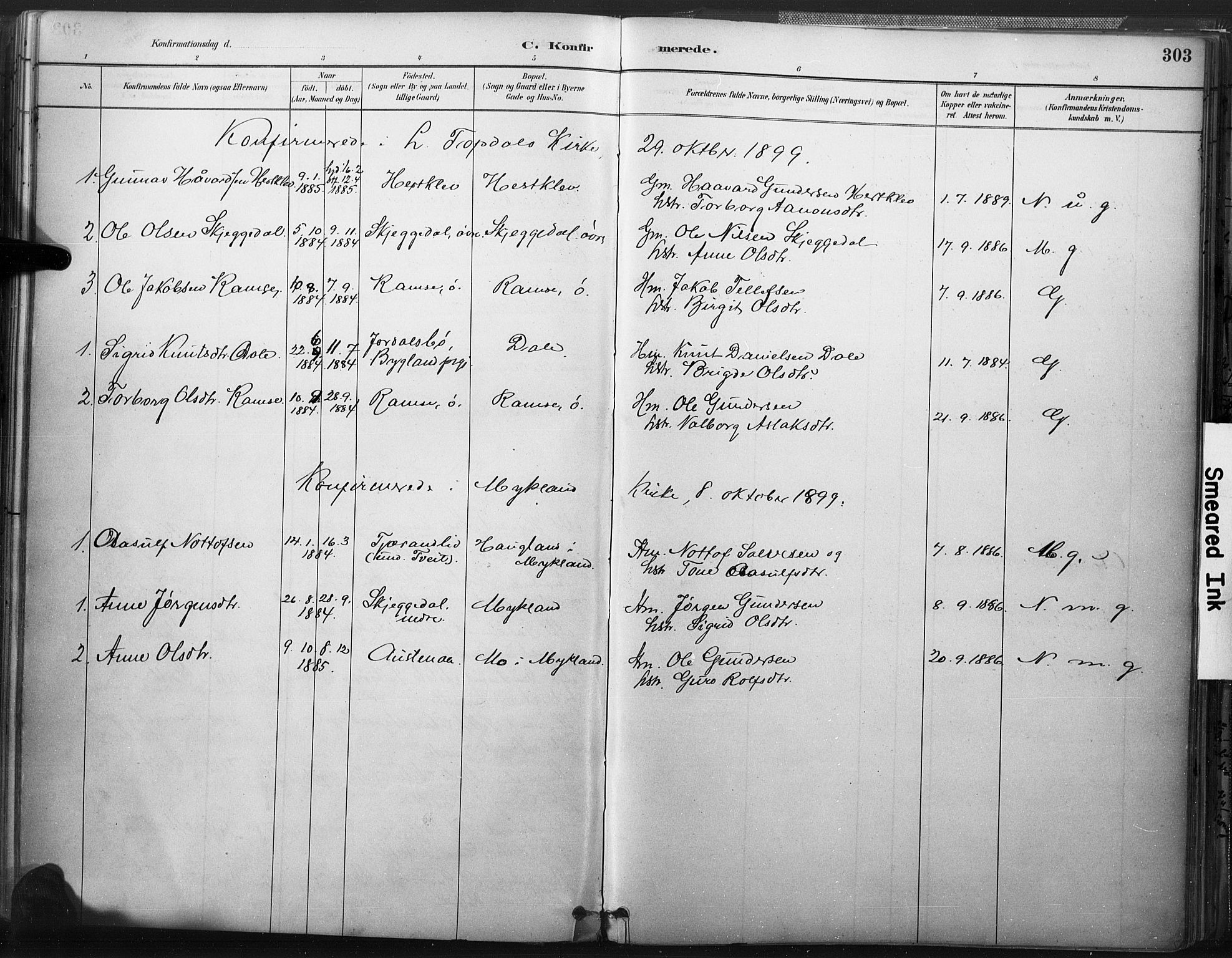 Åmli sokneprestkontor, AV/SAK-1111-0050/F/Fa/Fac/L0010: Parish register (official) no. A 10 /3, 1885-1899, p. 303