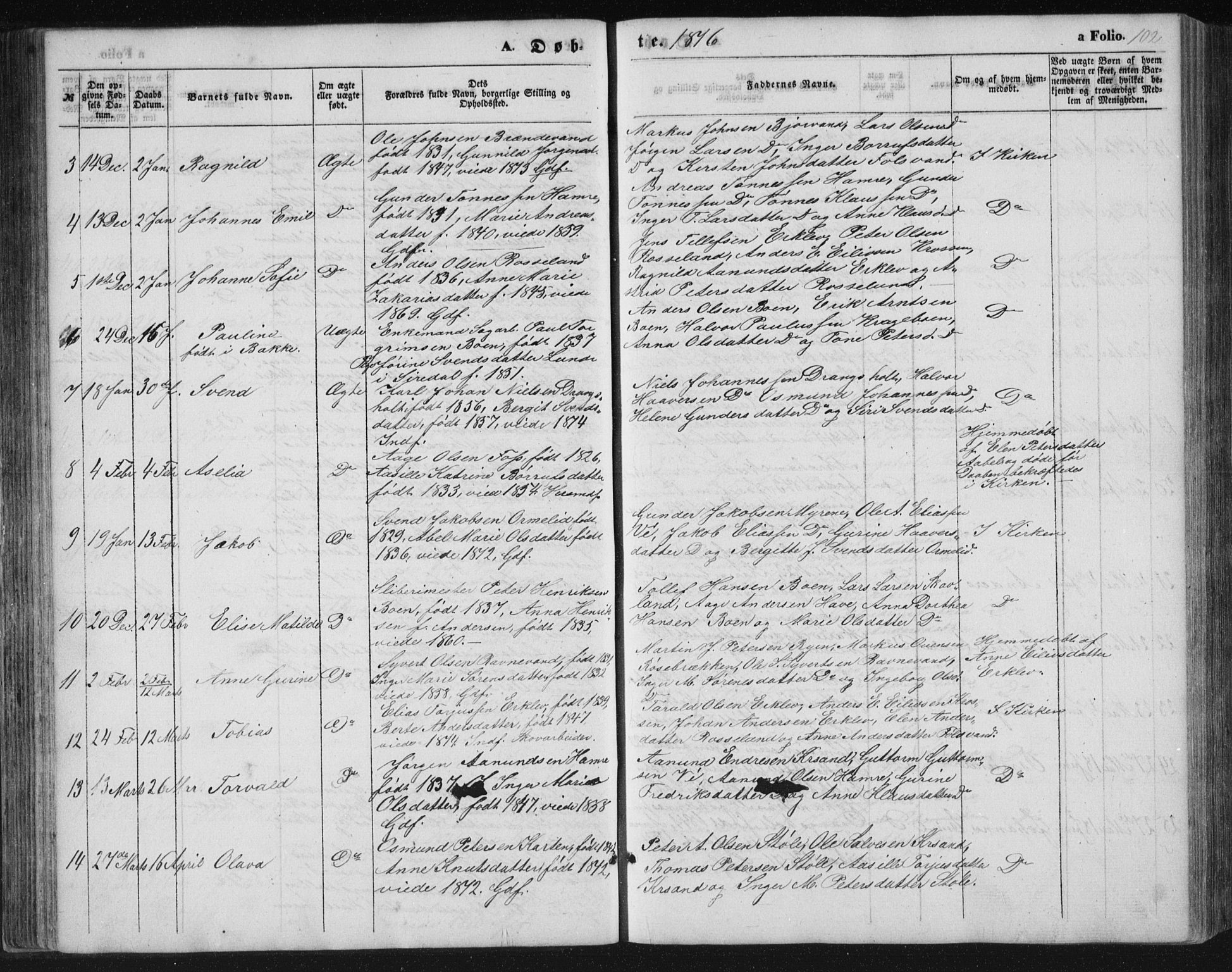 Tveit sokneprestkontor, AV/SAK-1111-0043/F/Fb/L0003: Parish register (copy) no. B 3, 1854-1886, p. 102