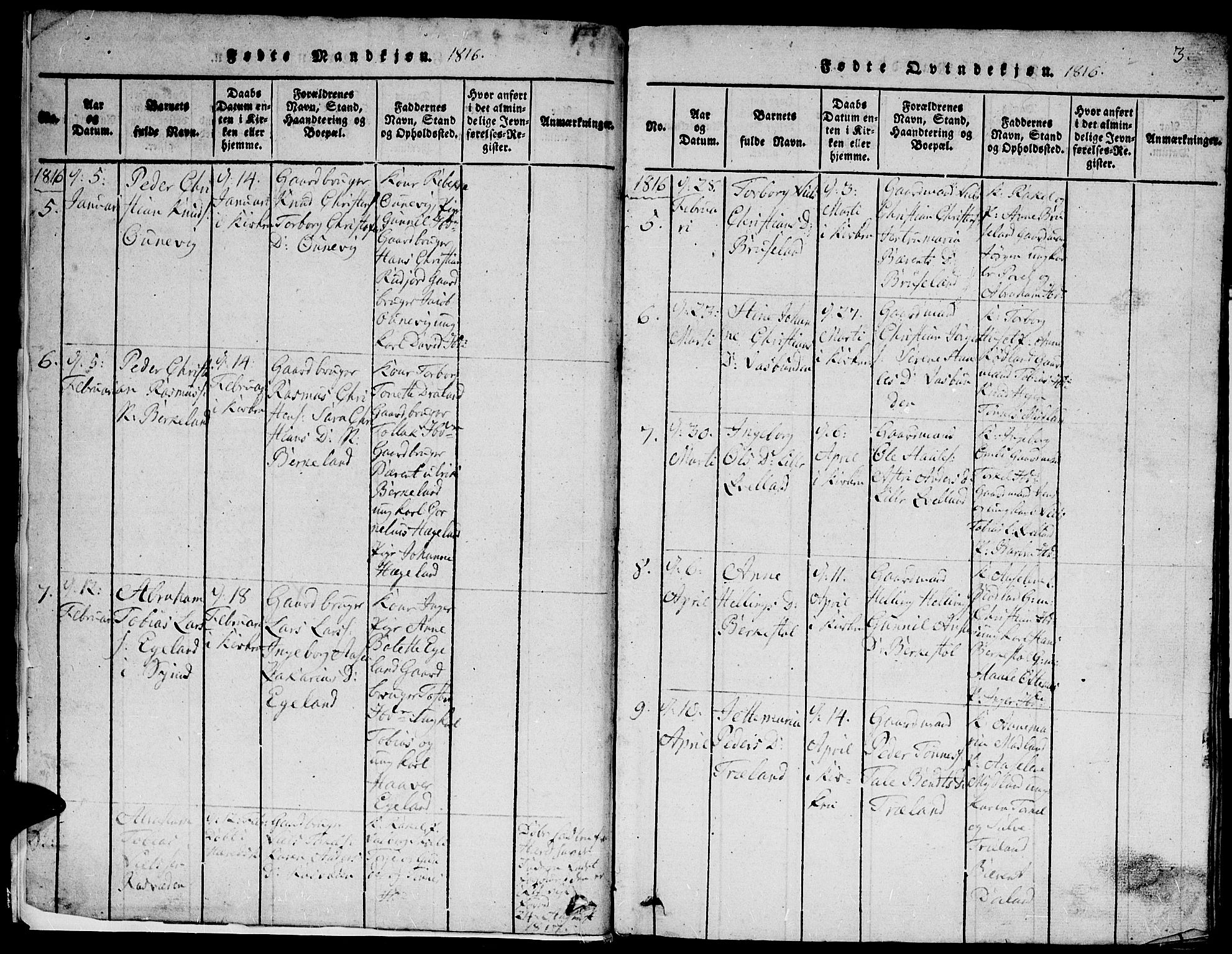 Lyngdal sokneprestkontor, SAK/1111-0029/F/Fb/Fbc/L0001: Parish register (copy) no. B 1, 1815-1844, p. 3