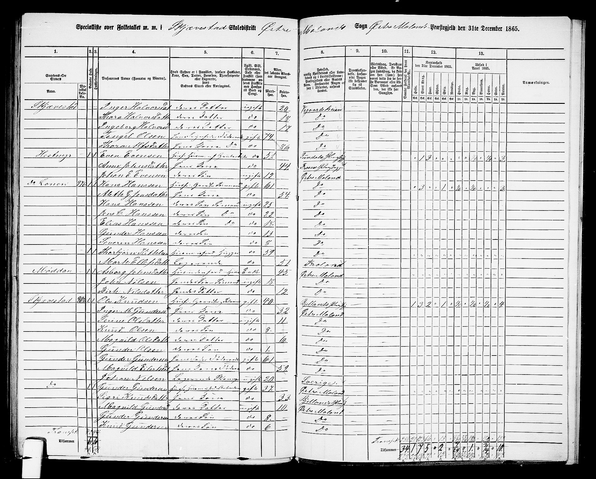 RA, 1865 census for Austre Moland, 1865, p. 316