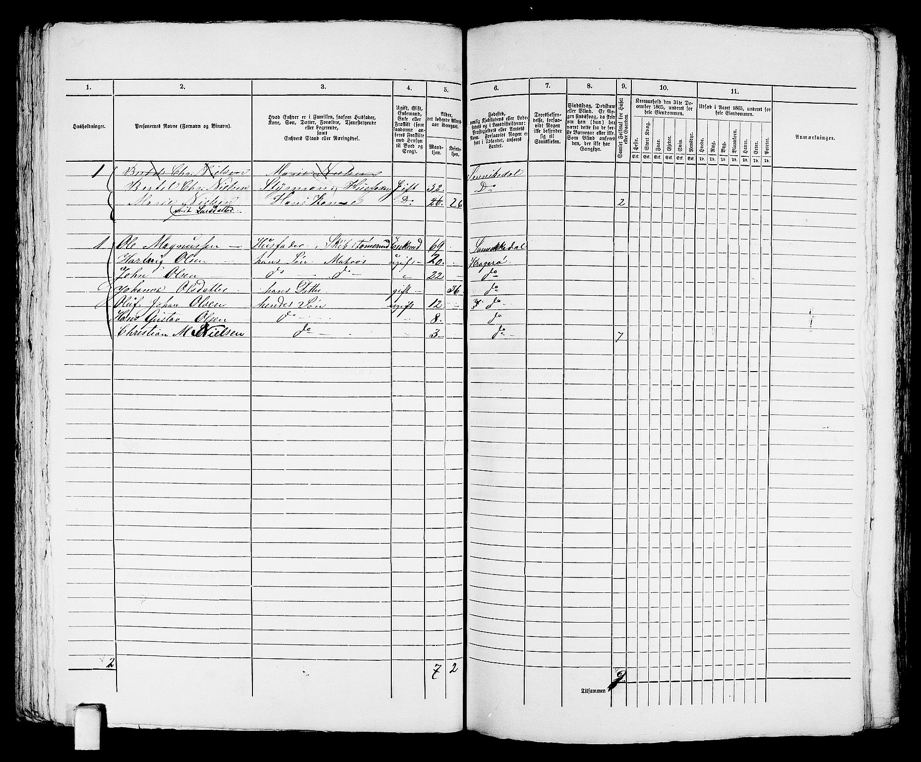 RA, 1865 census for Kragerø/Kragerø, 1865, p. 208