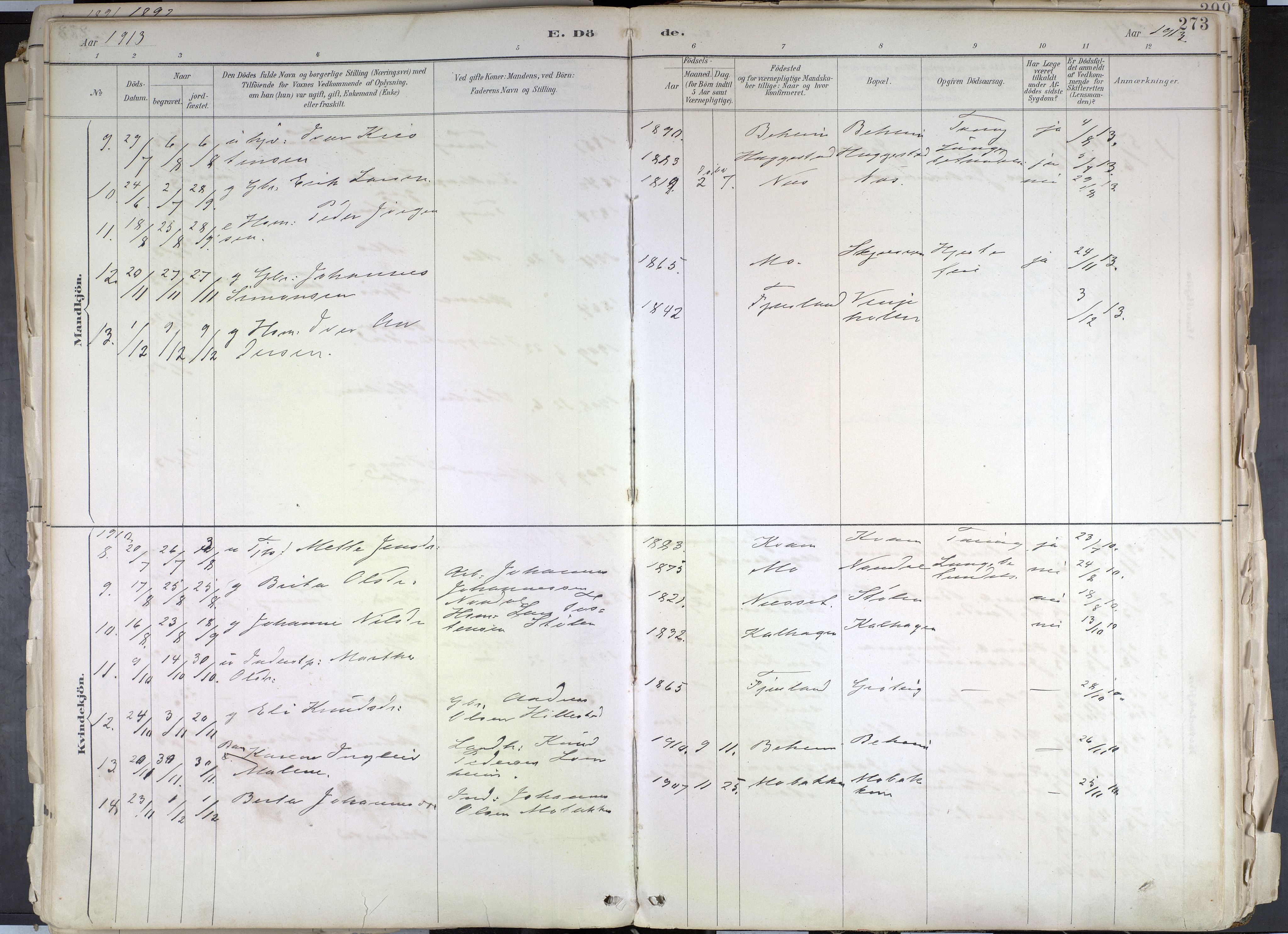 Hafslo sokneprestembete, SAB/A-80301/H/Haa/Haab/L0001: Parish register (official) no. B 1, 1886-1945, p. 273