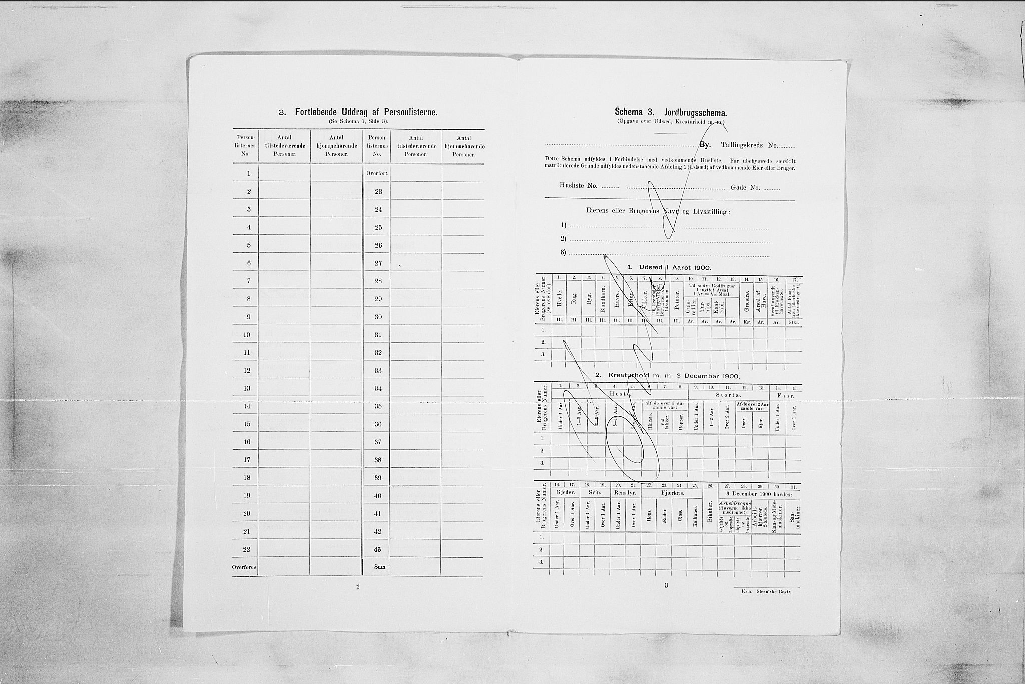 RA, 1900 census for Kongsberg, 1900, p. 67