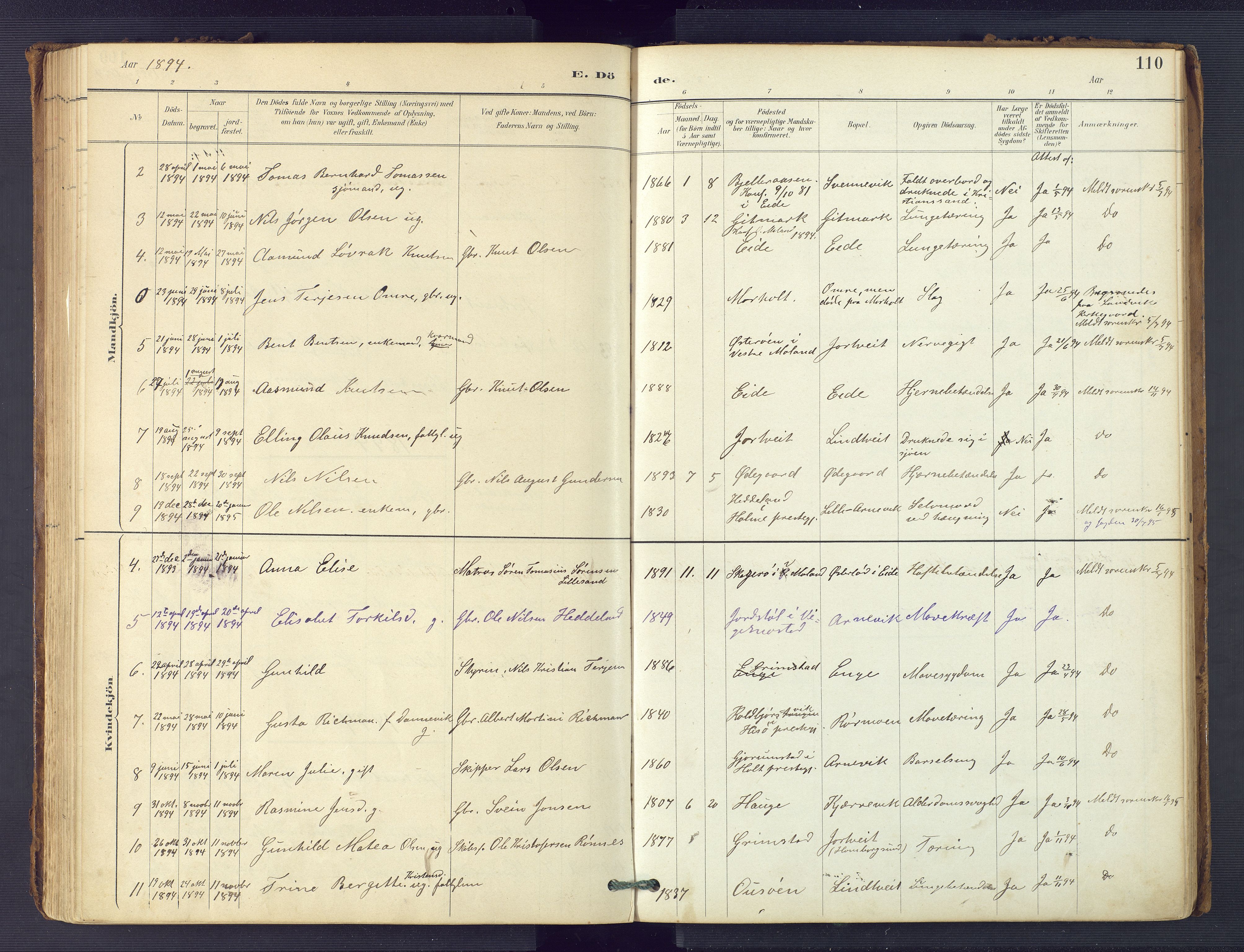 Hommedal sokneprestkontor, SAK/1111-0023/F/Fa/Faa/L0003: Parish register (official) no. A 3, 1885-1916, p. 110