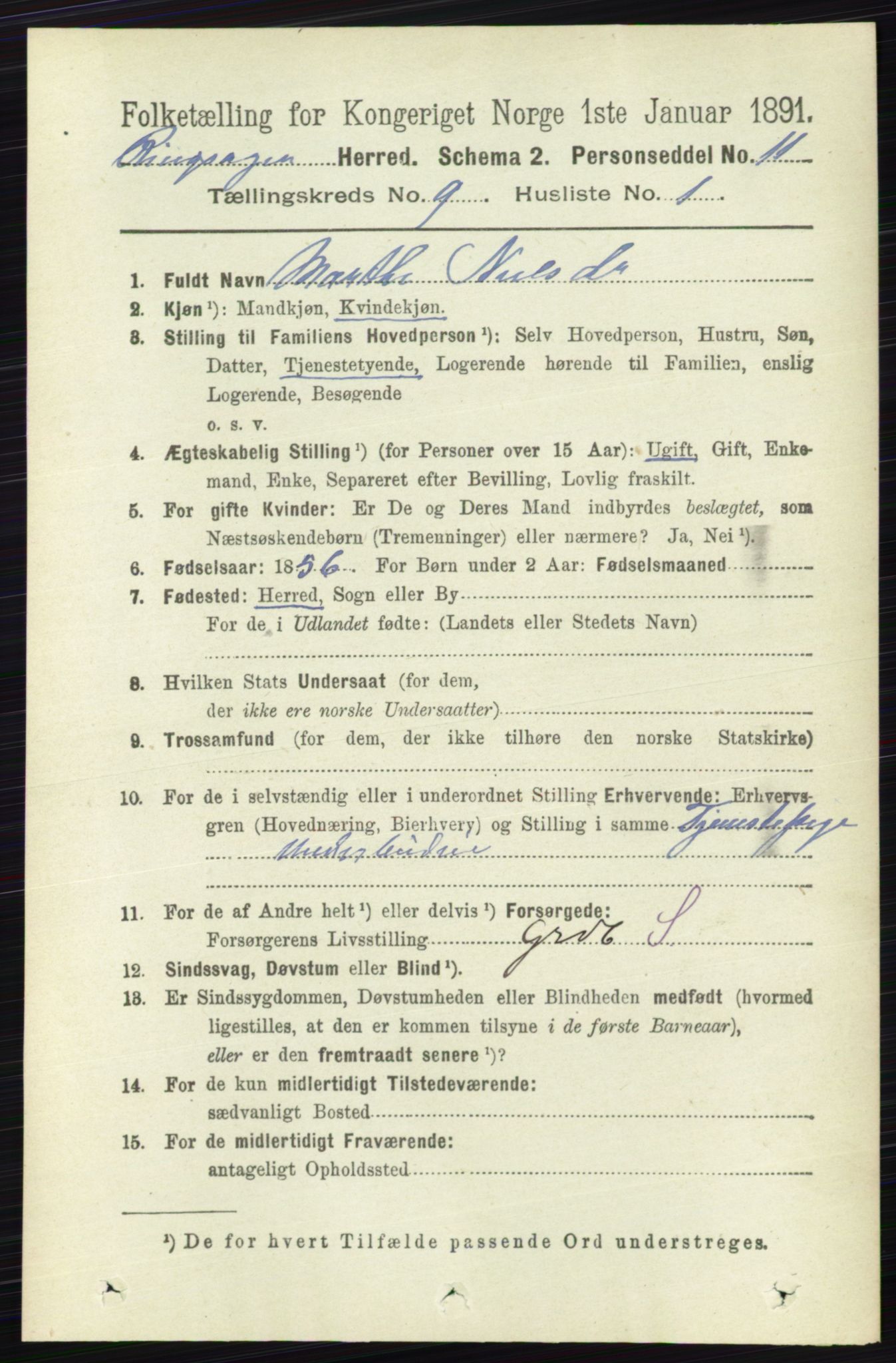 RA, 1891 census for 0412 Ringsaker, 1891, p. 5058