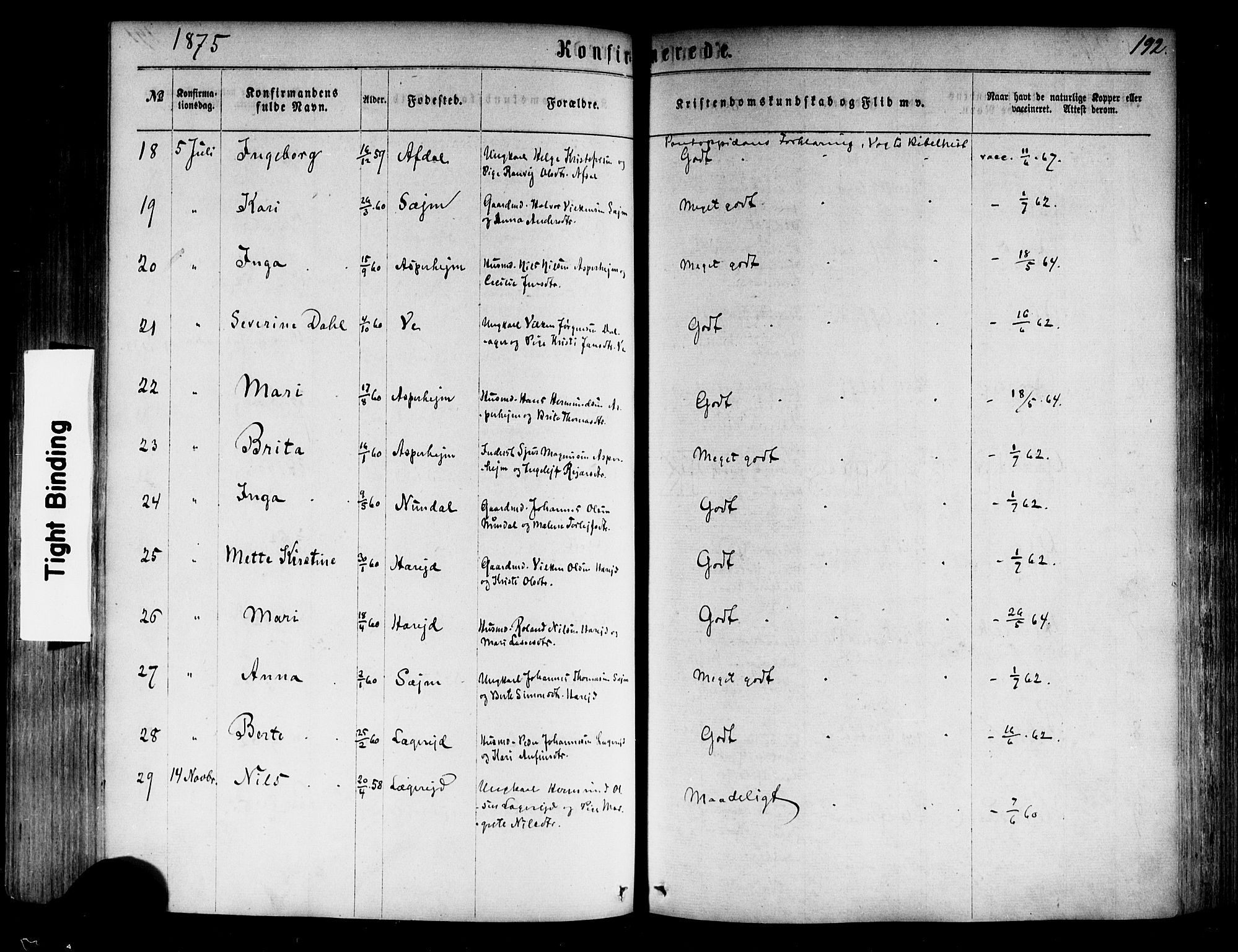 Årdal sokneprestembete, AV/SAB-A-81701: Parish register (official) no. A 3, 1863-1886, p. 192