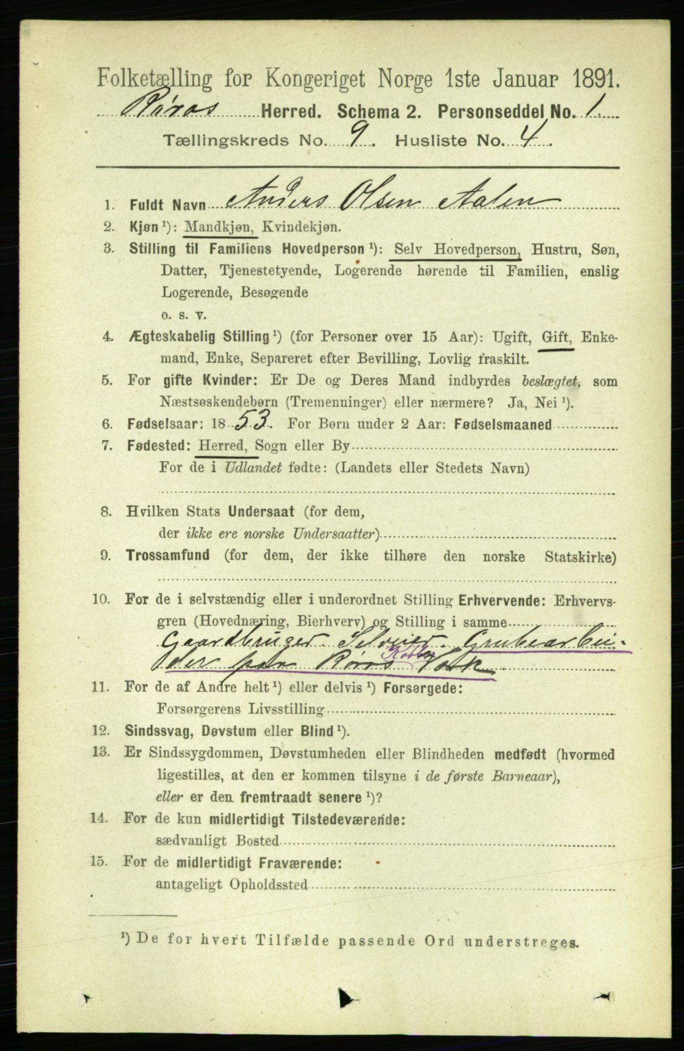 RA, 1891 census for 1640 Røros, 1891, p. 1836