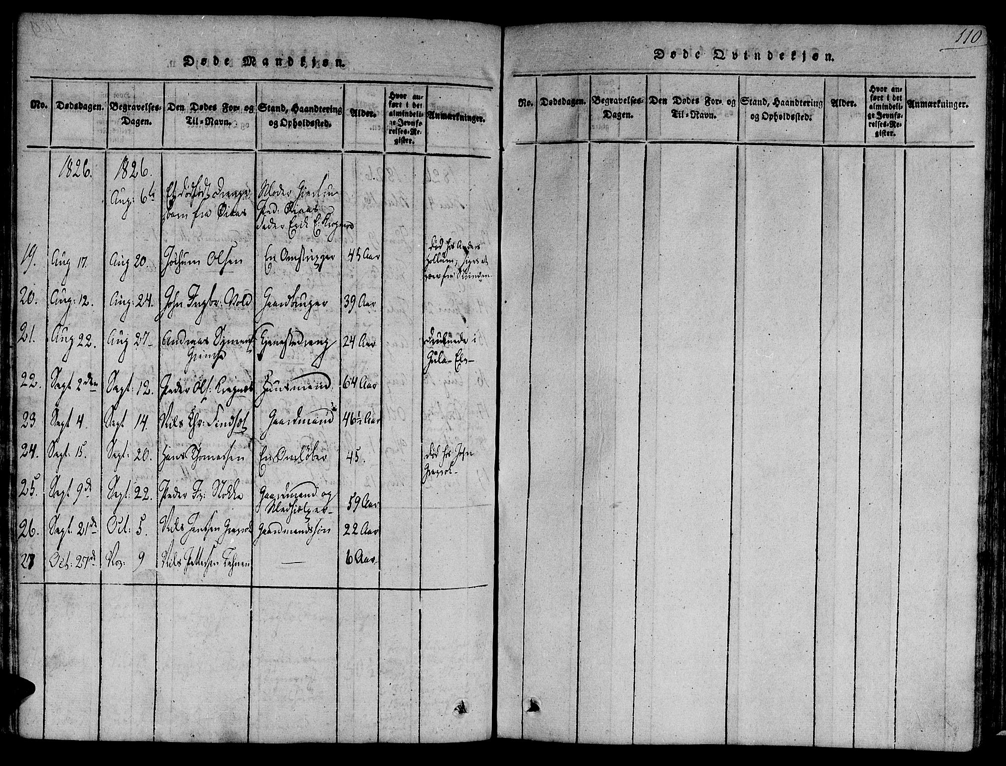 Ministerialprotokoller, klokkerbøker og fødselsregistre - Sør-Trøndelag, AV/SAT-A-1456/691/L1065: Parish register (official) no. 691A03 /1, 1816-1826, p. 110