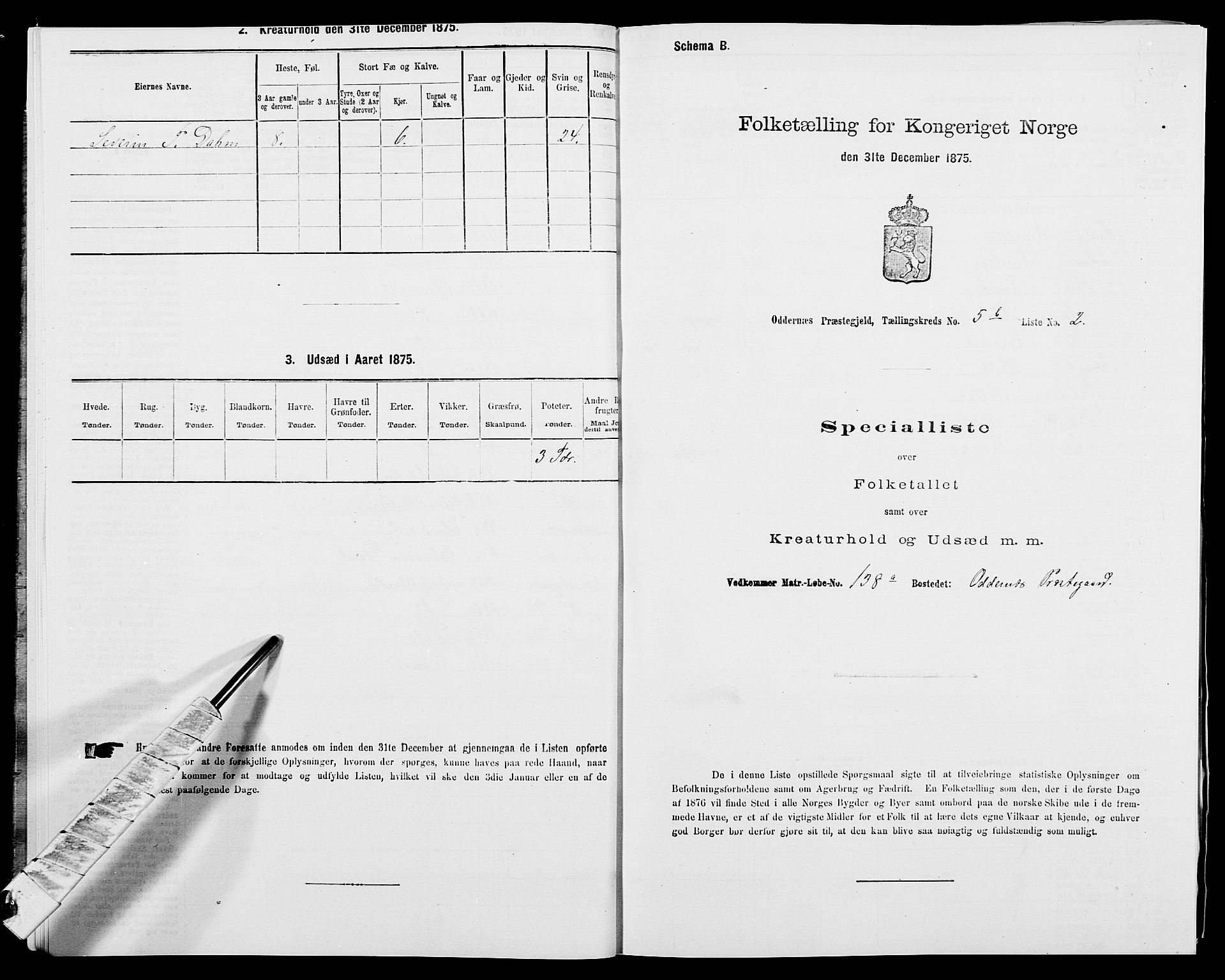 SAK, 1875 census for 1012P Oddernes, 1875, p. 847