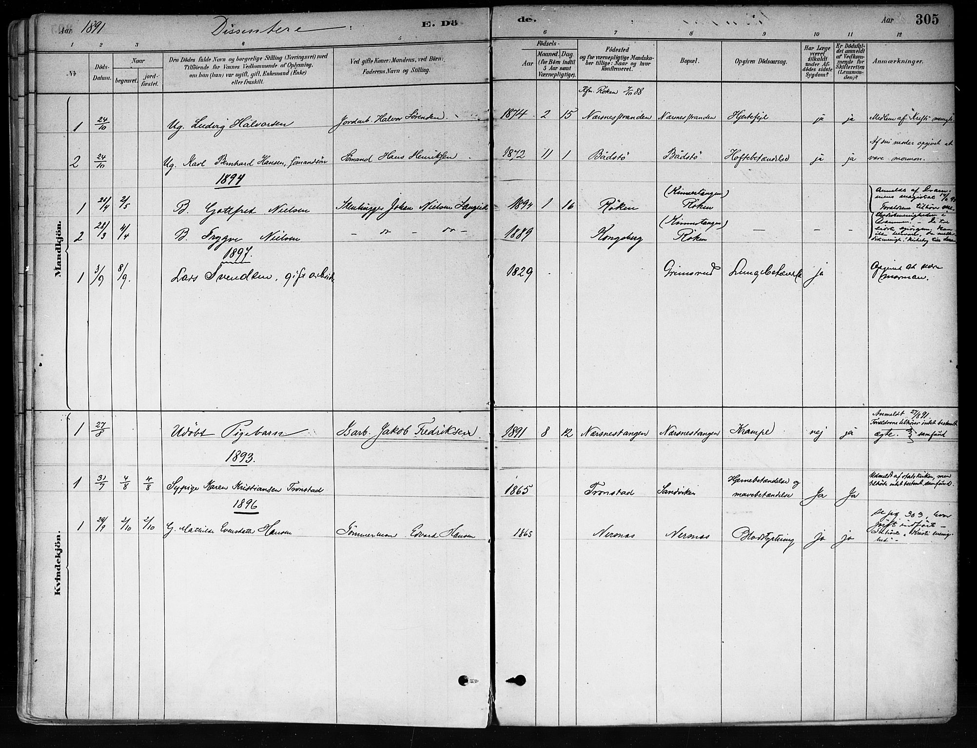 Røyken kirkebøker, AV/SAKO-A-241/F/Fa/L0008: Parish register (official) no. 8, 1880-1897, p. 305