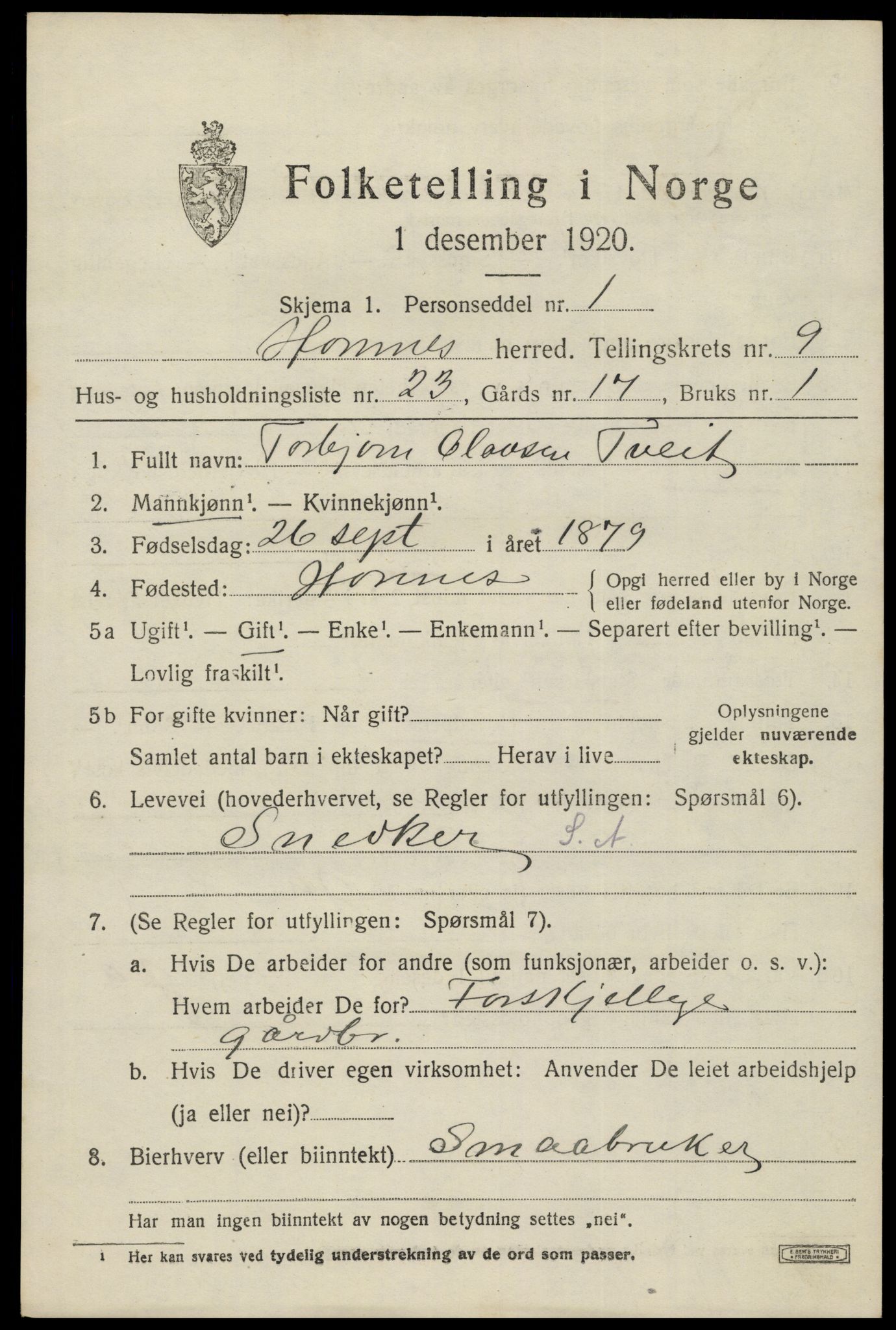 SAK, 1920 census for Hornnes, 1920, p. 2471