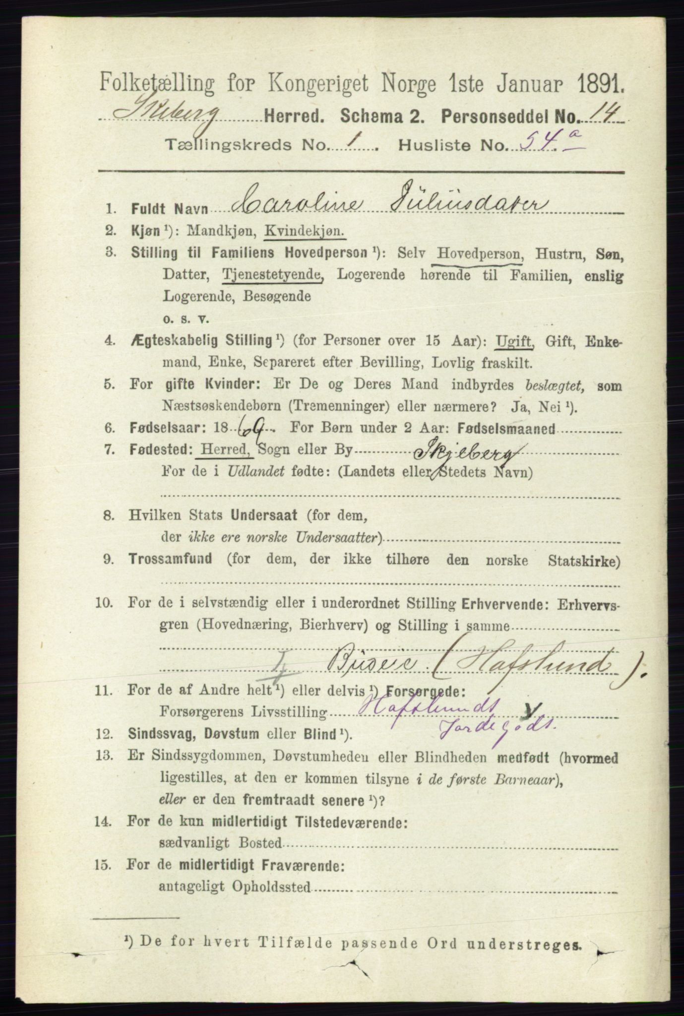 RA, 1891 census for 0115 Skjeberg, 1891, p. 797