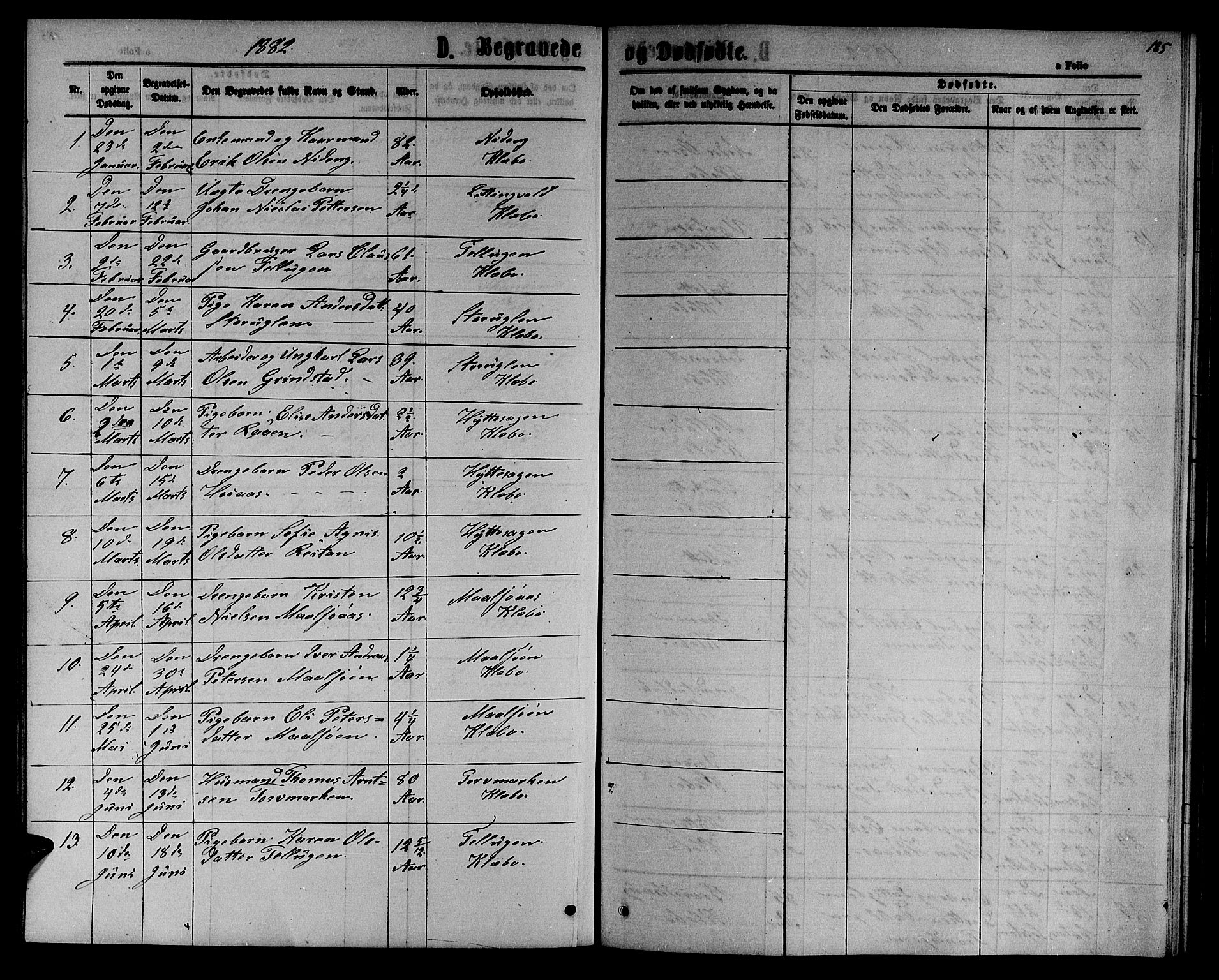 Ministerialprotokoller, klokkerbøker og fødselsregistre - Sør-Trøndelag, SAT/A-1456/618/L0451: Parish register (copy) no. 618C02, 1865-1883, p. 185